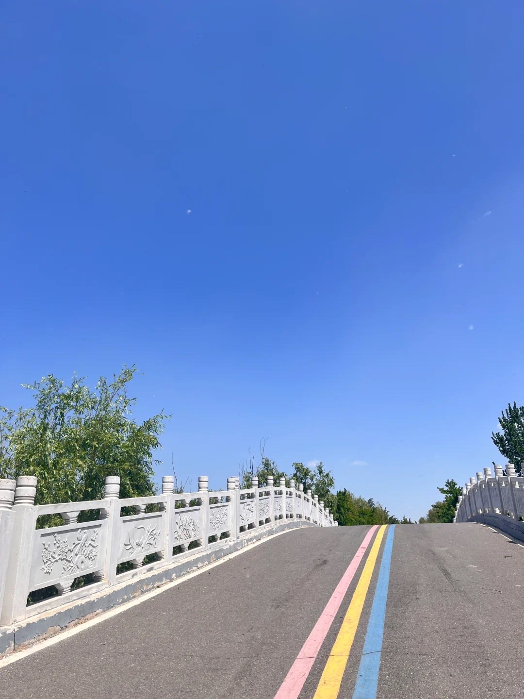 濮上园旅游度假区旅行图片 3