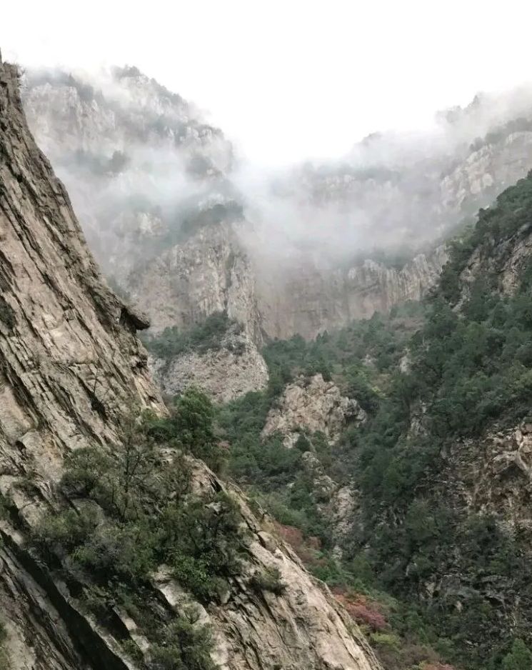 隐唐洞旅行图片 3