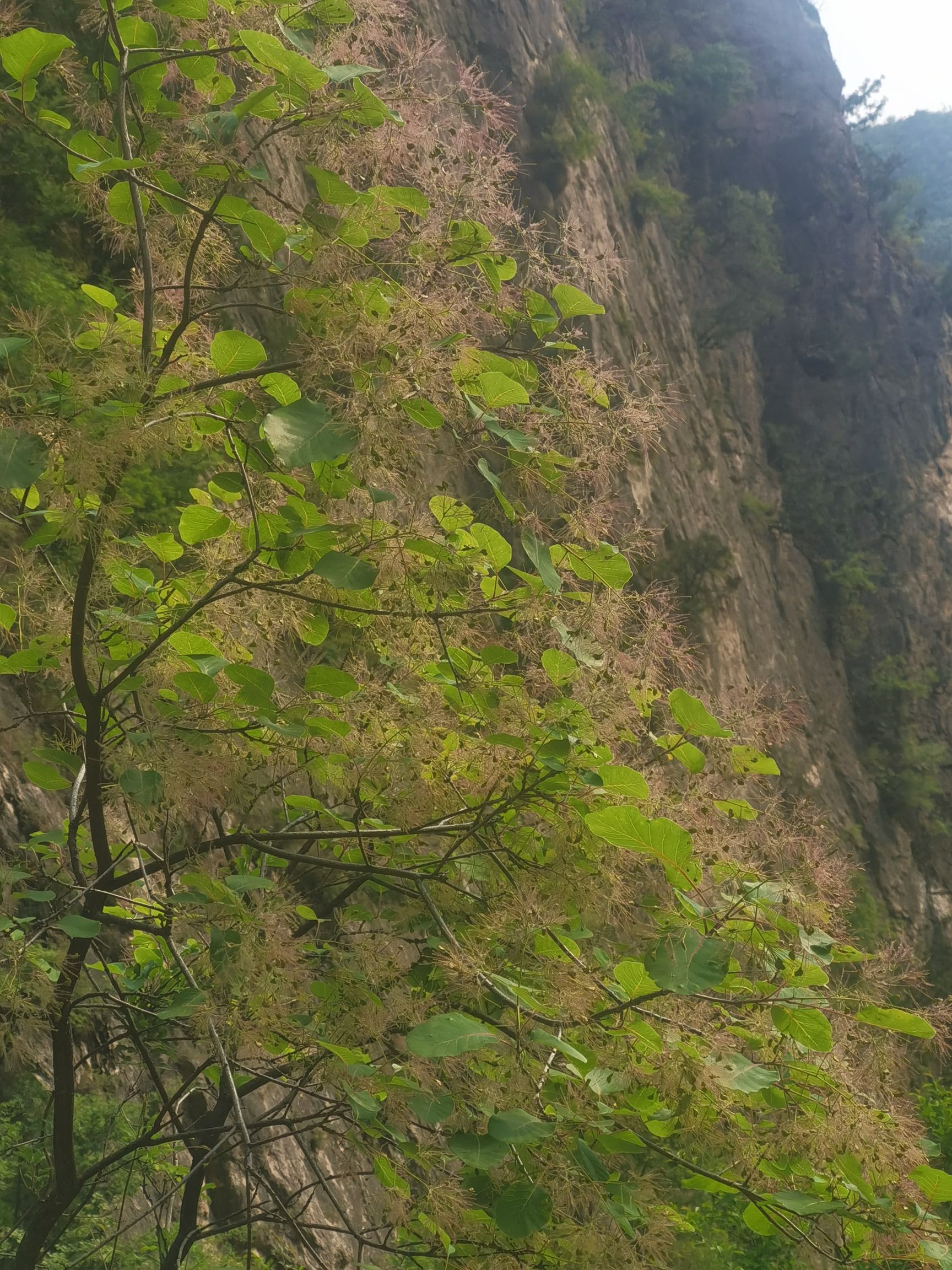 隐唐洞旅行图片 3