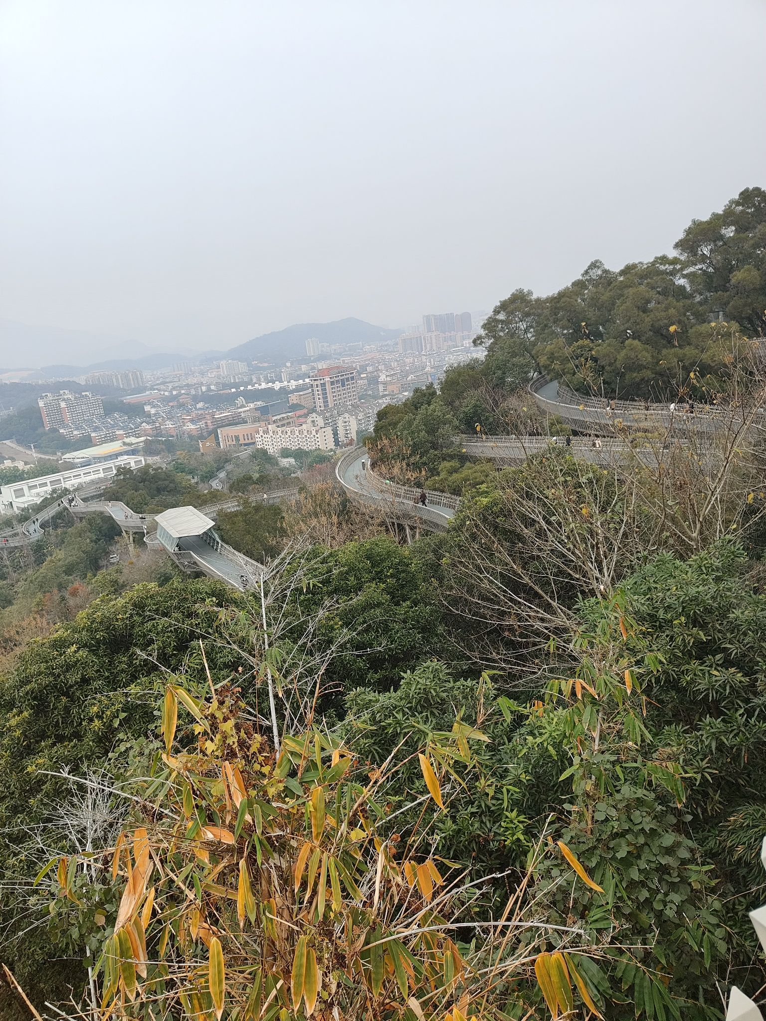 金牛山城市森林步道旅行图片 2