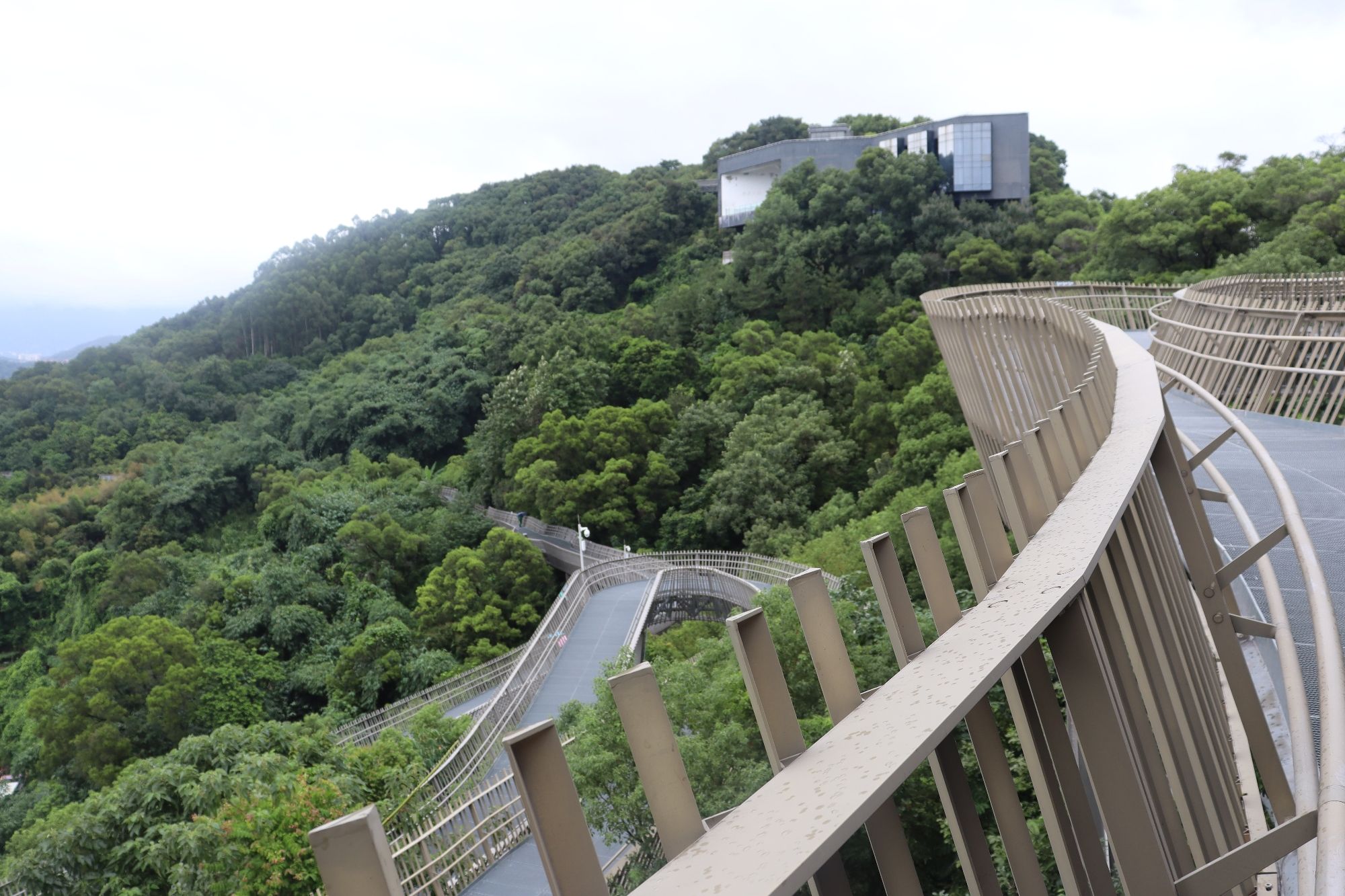 金牛山城市森林步道旅行图片 2