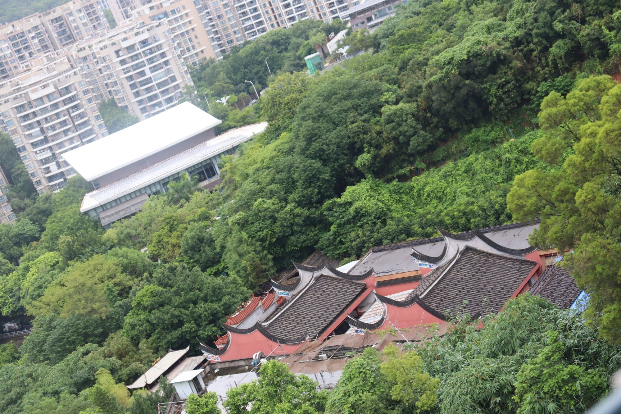 金牛山城市森林步道旅行图片 3