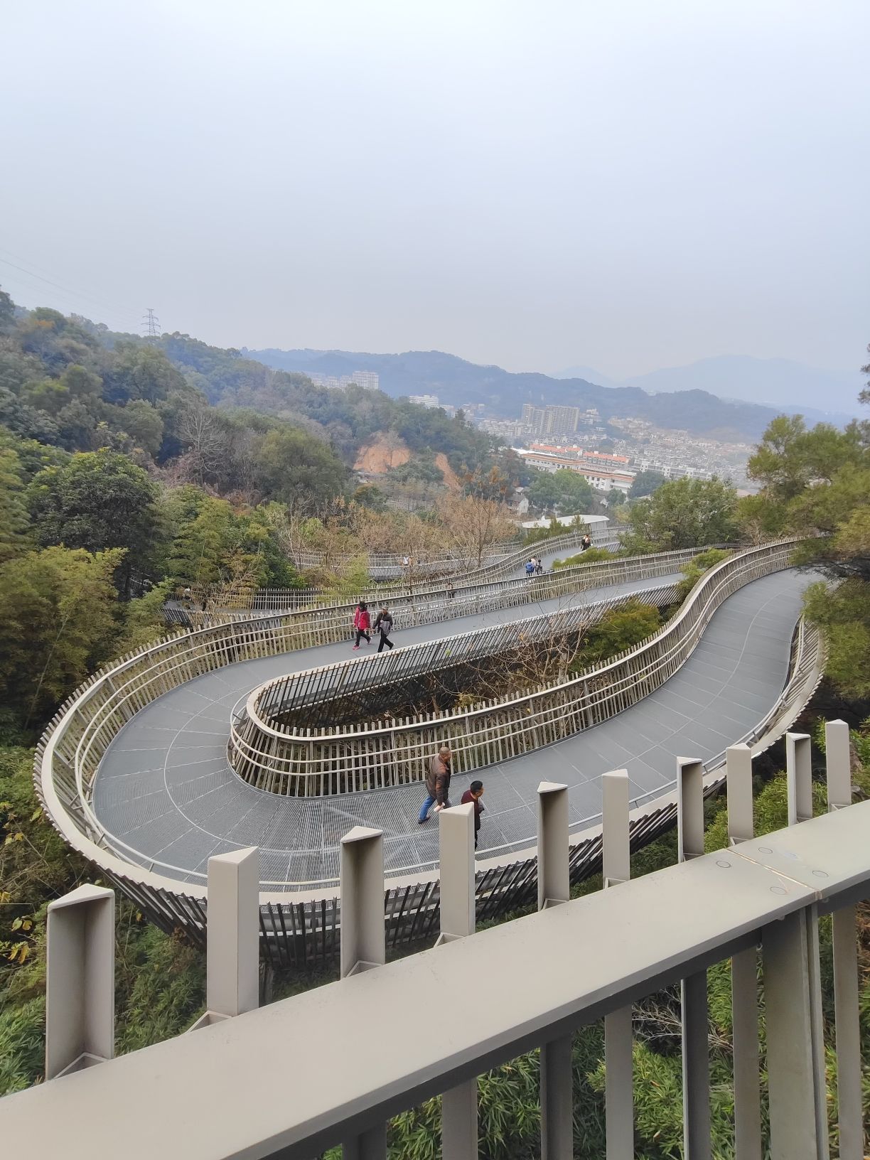 金牛山城市森林步道旅行图片 3