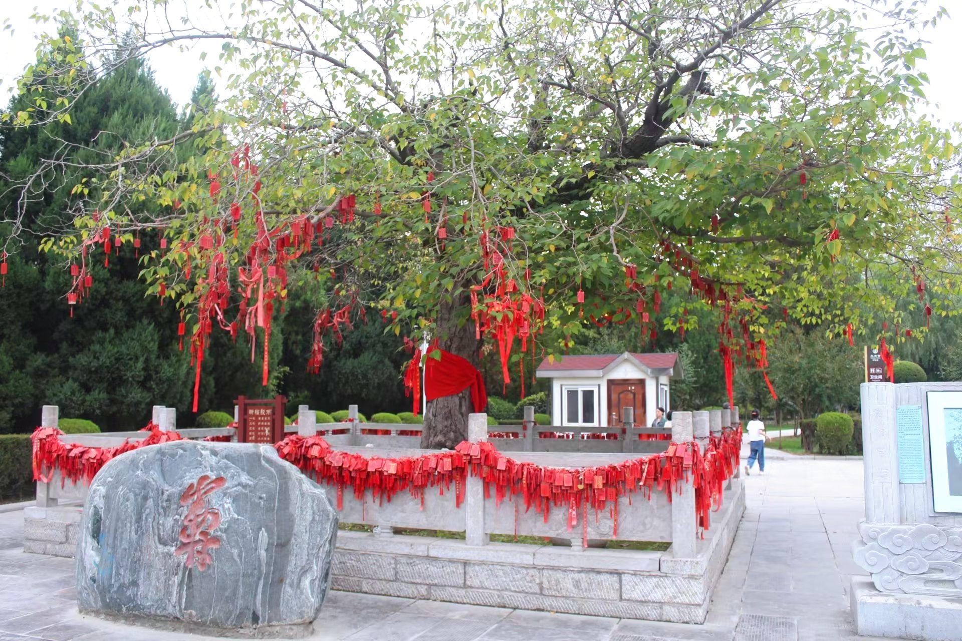 老子故里旅游区旅行图片 2