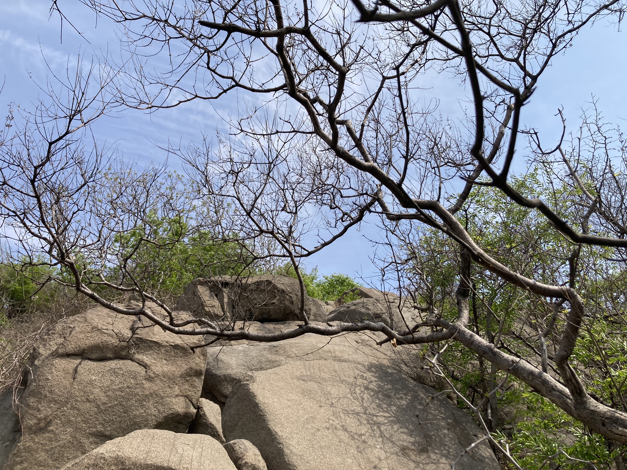 华山风景区旅行图片 3