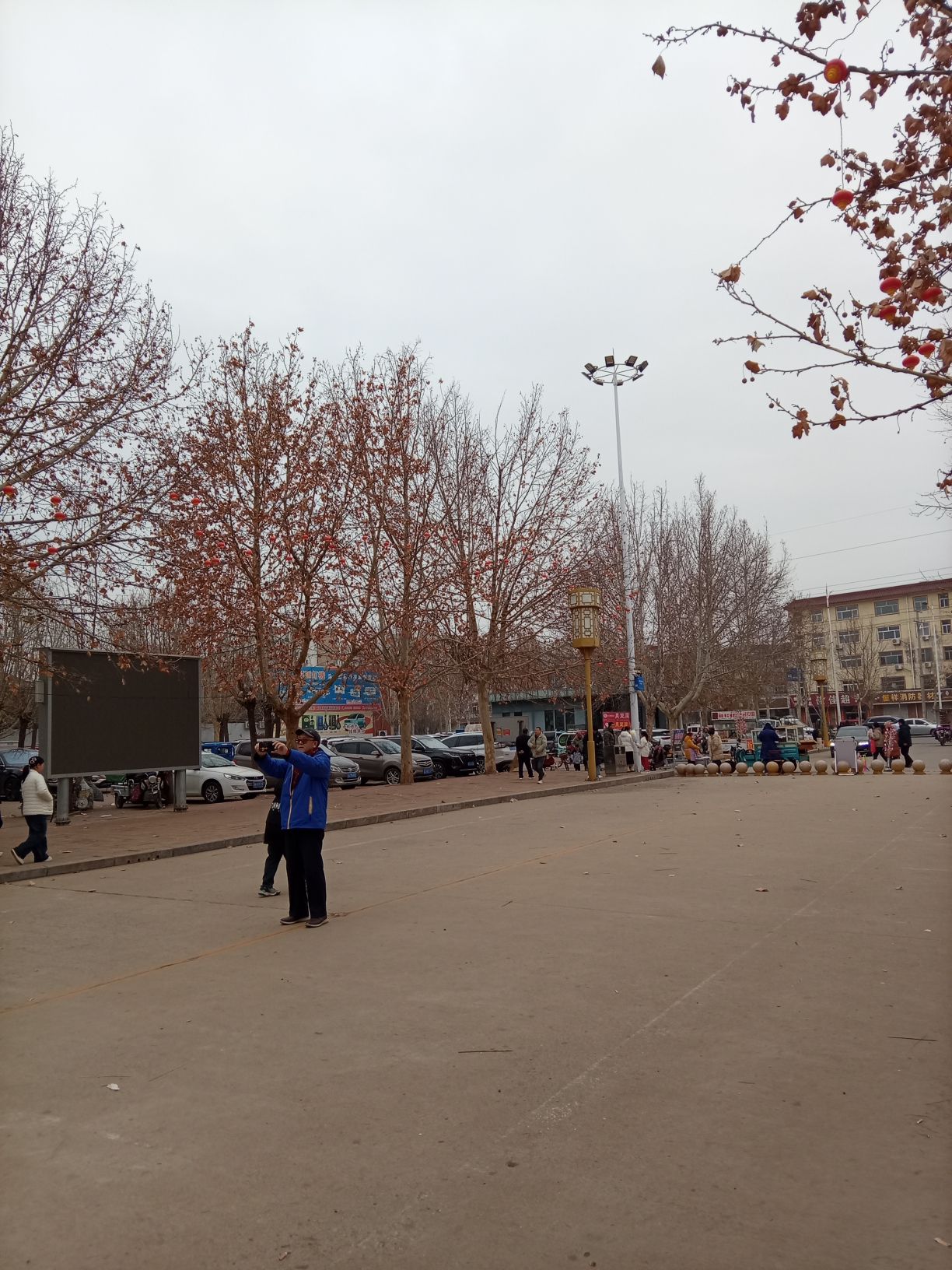 东光县铁佛寺景区-普照公园旅行图片 2