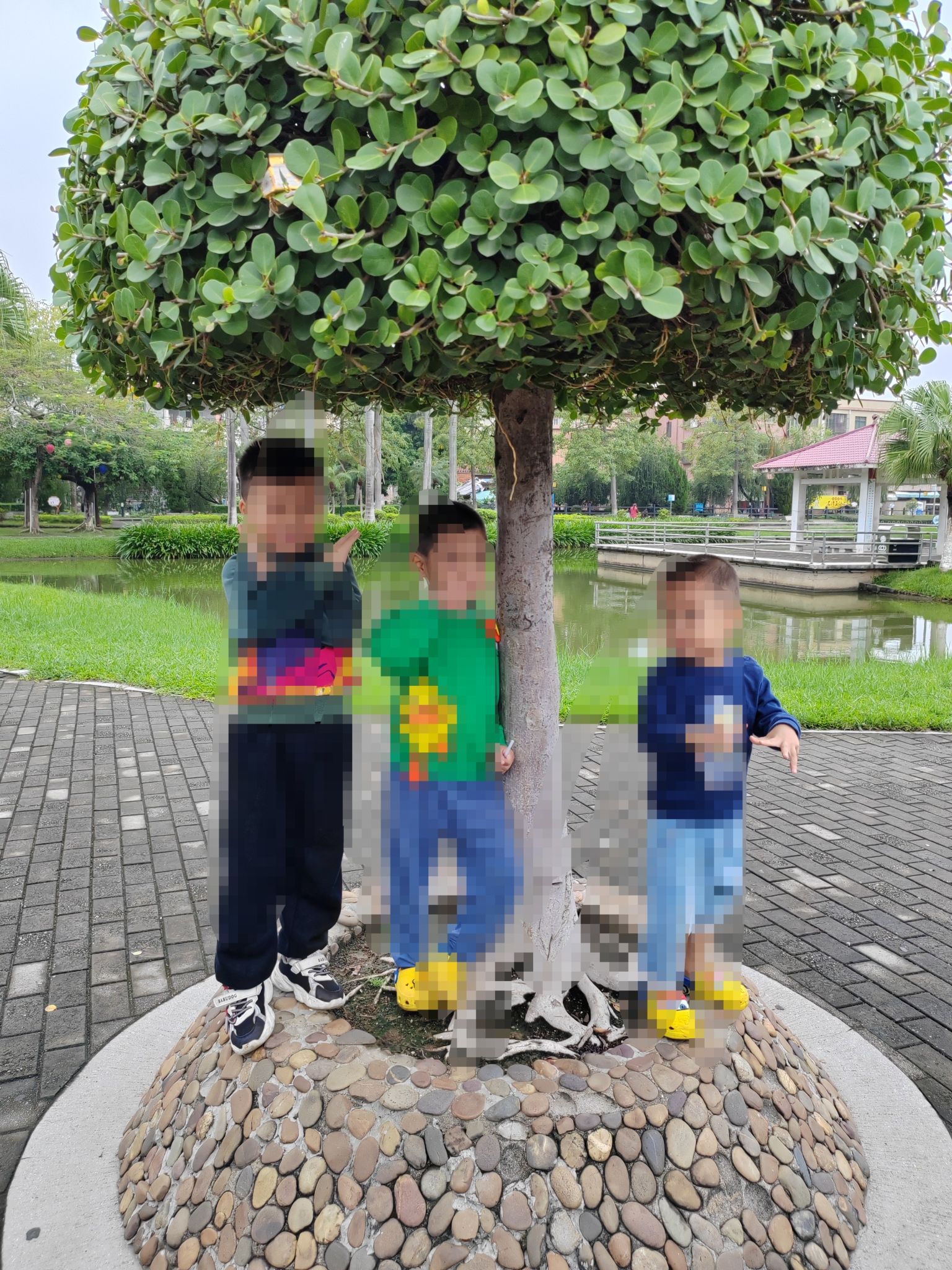 星海文化公园旅行图片 3