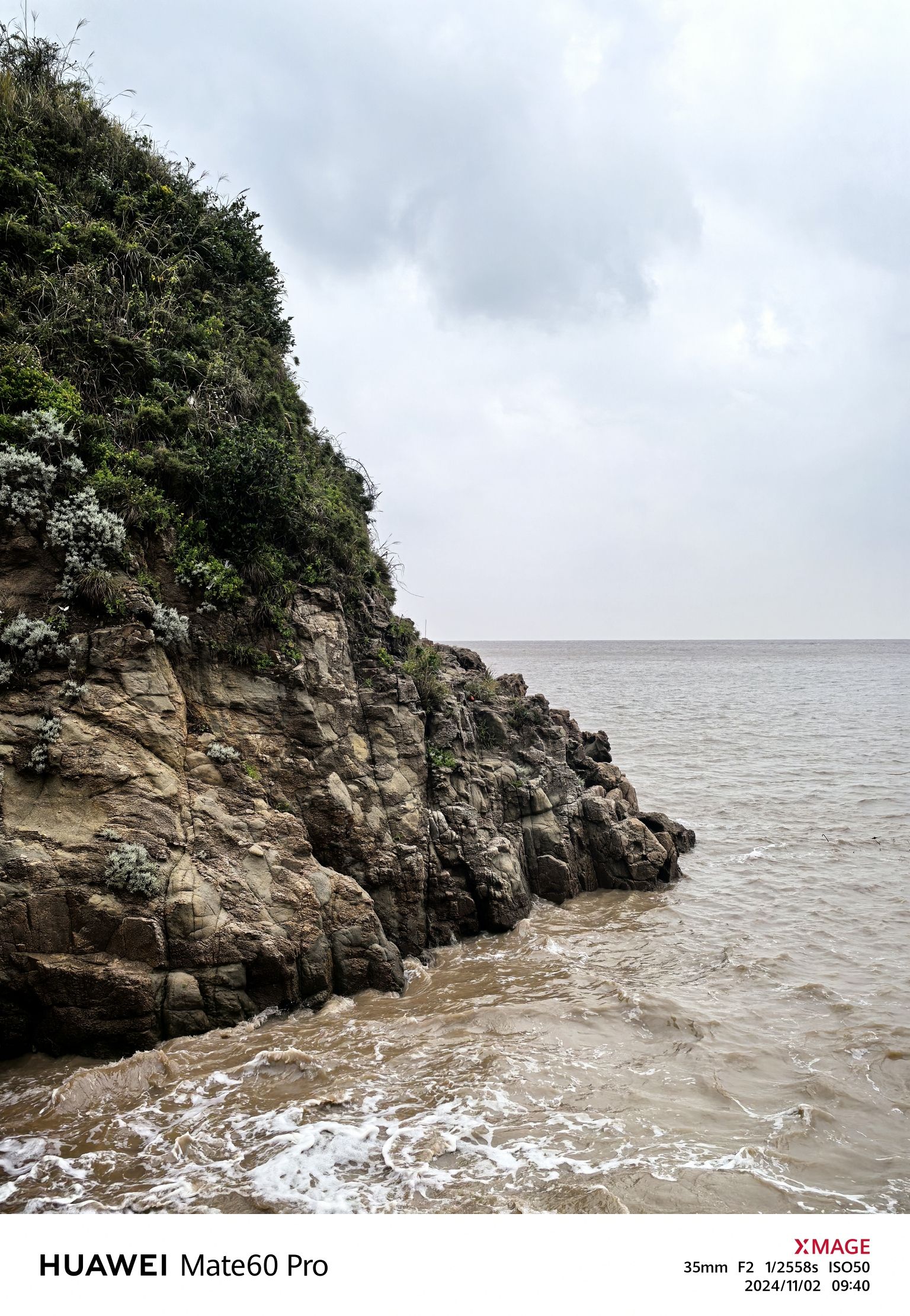 莲花岛雕塑公园旅行图片 3
