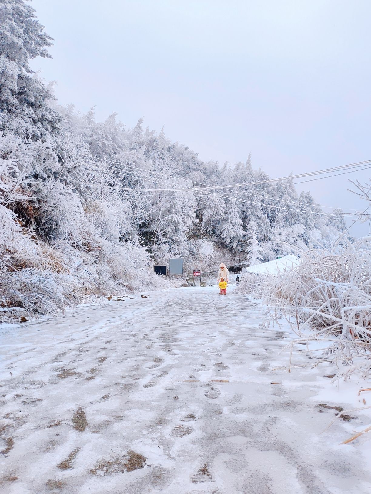 雪宝山国家森林公园旅行图片 2