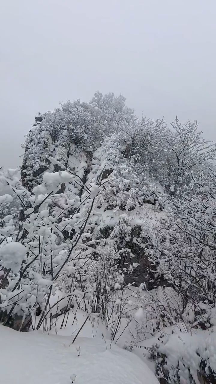 雪宝山国家森林公园旅行图片 2