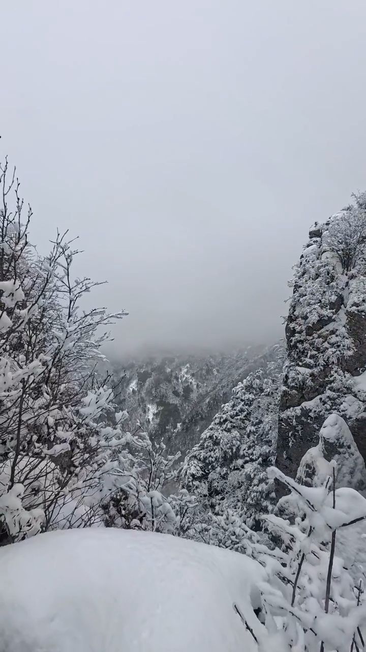 雪宝山国家森林公园旅行图片 3