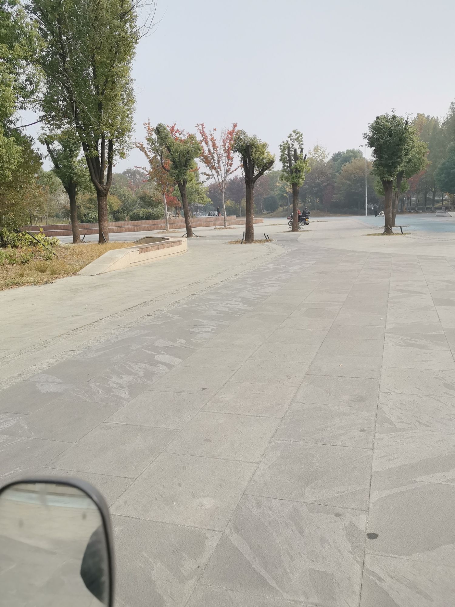富强公园旅行图片 1