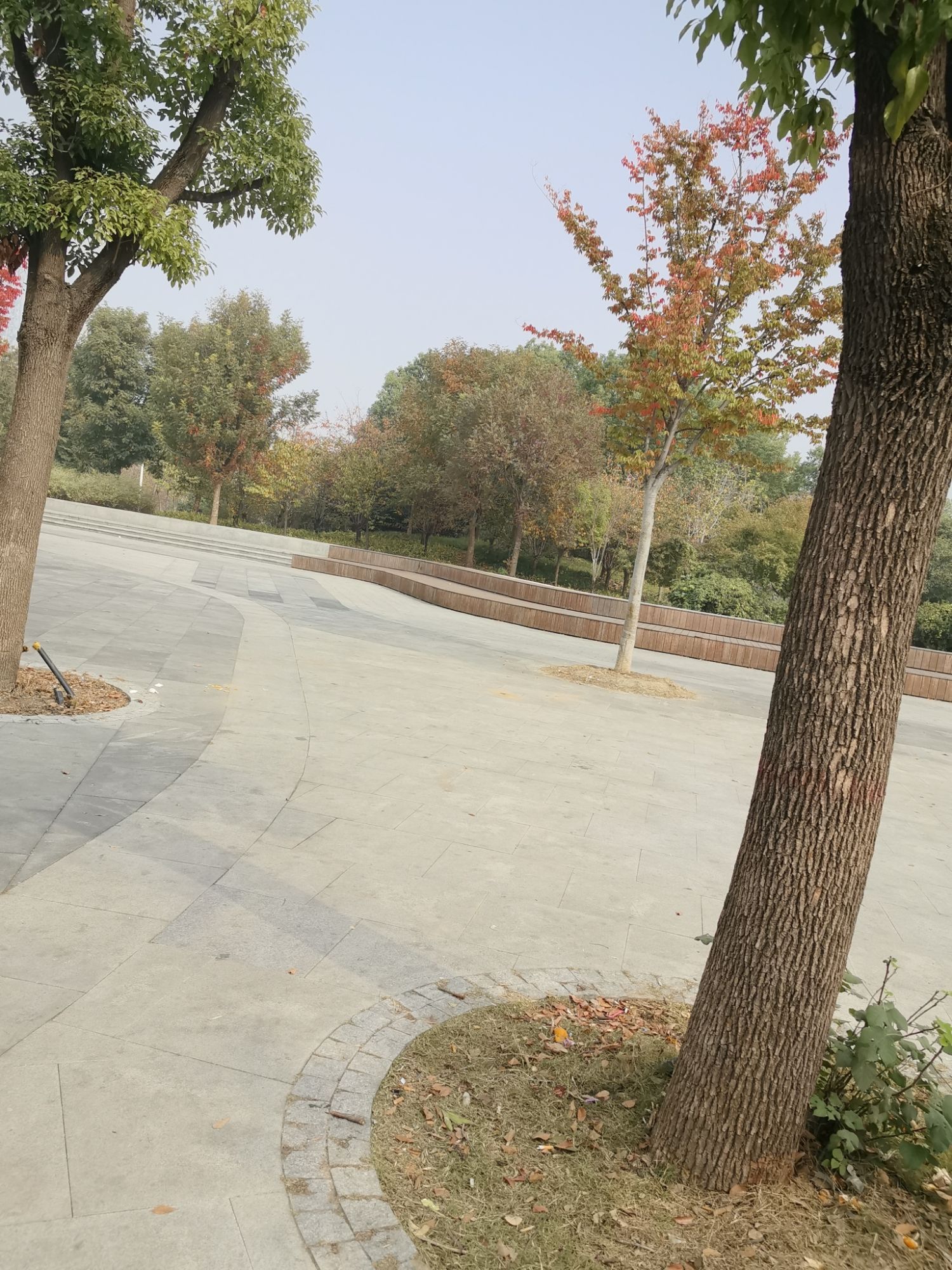 富强公园旅行图片 2