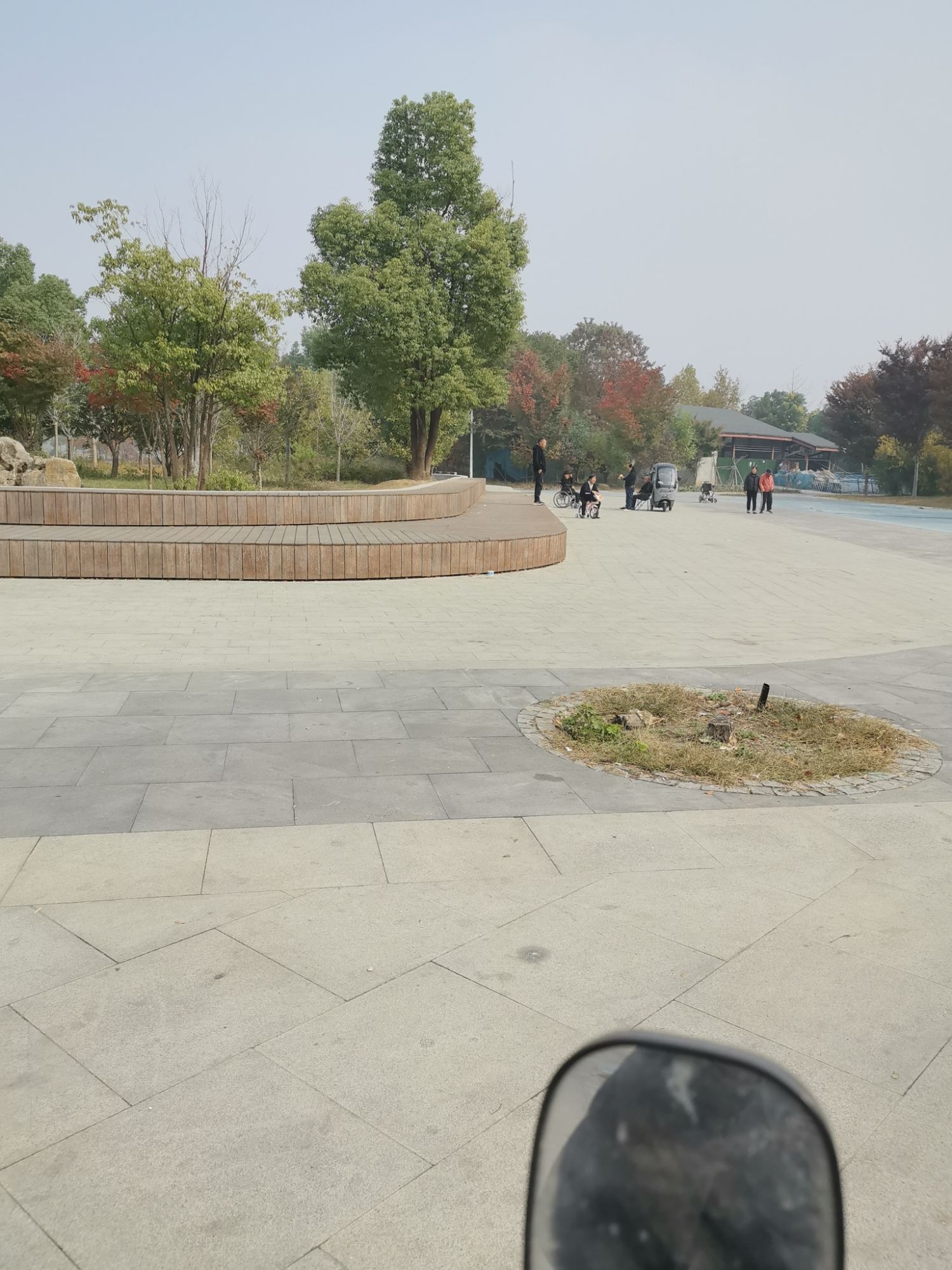 富强公园旅行图片 3