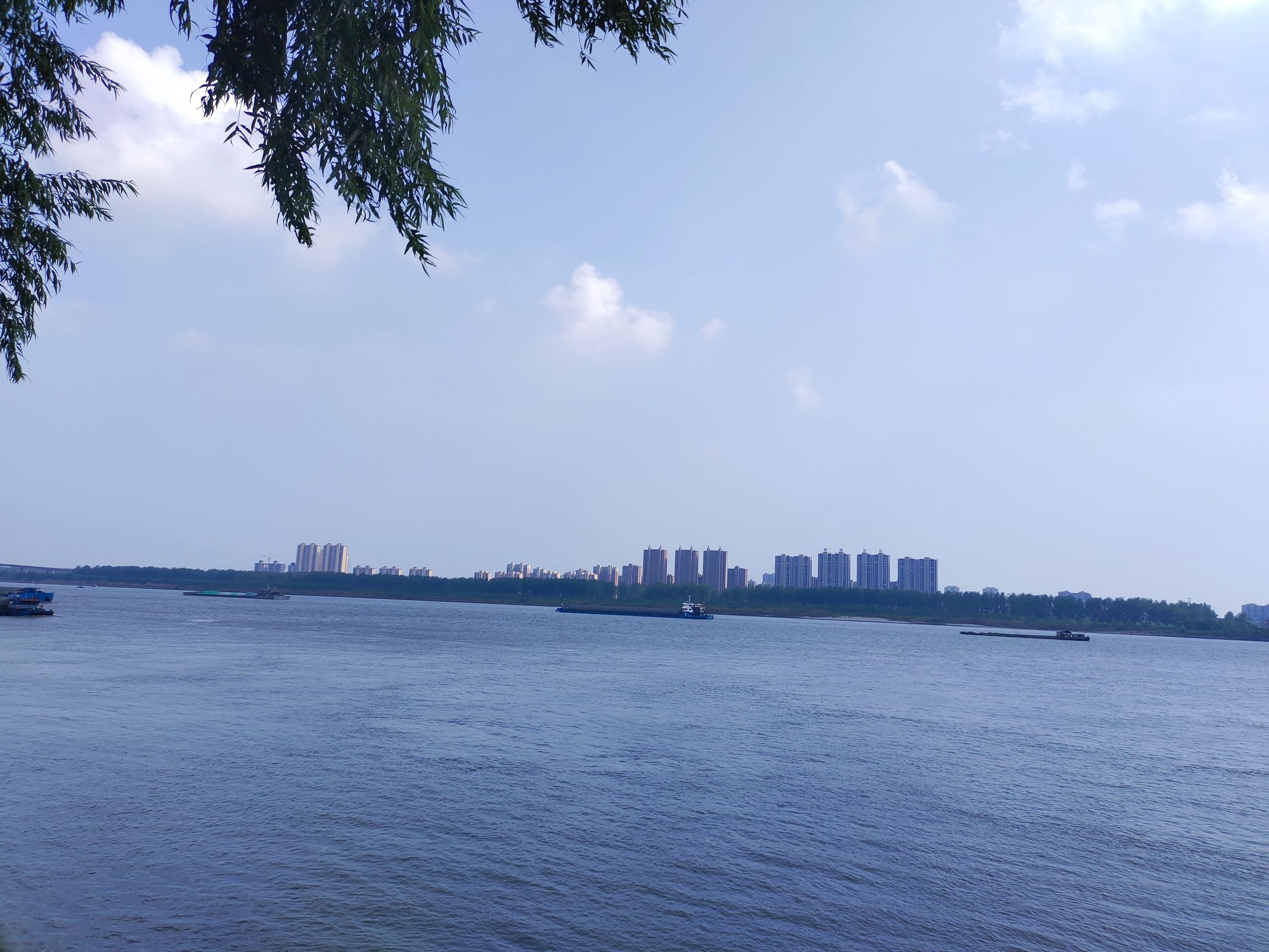 安庆市外滩公园旅行图片 1
