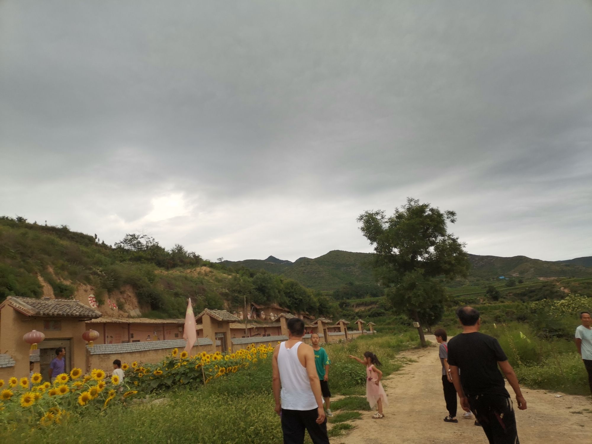 黄土坡老遗址旅行图片 2