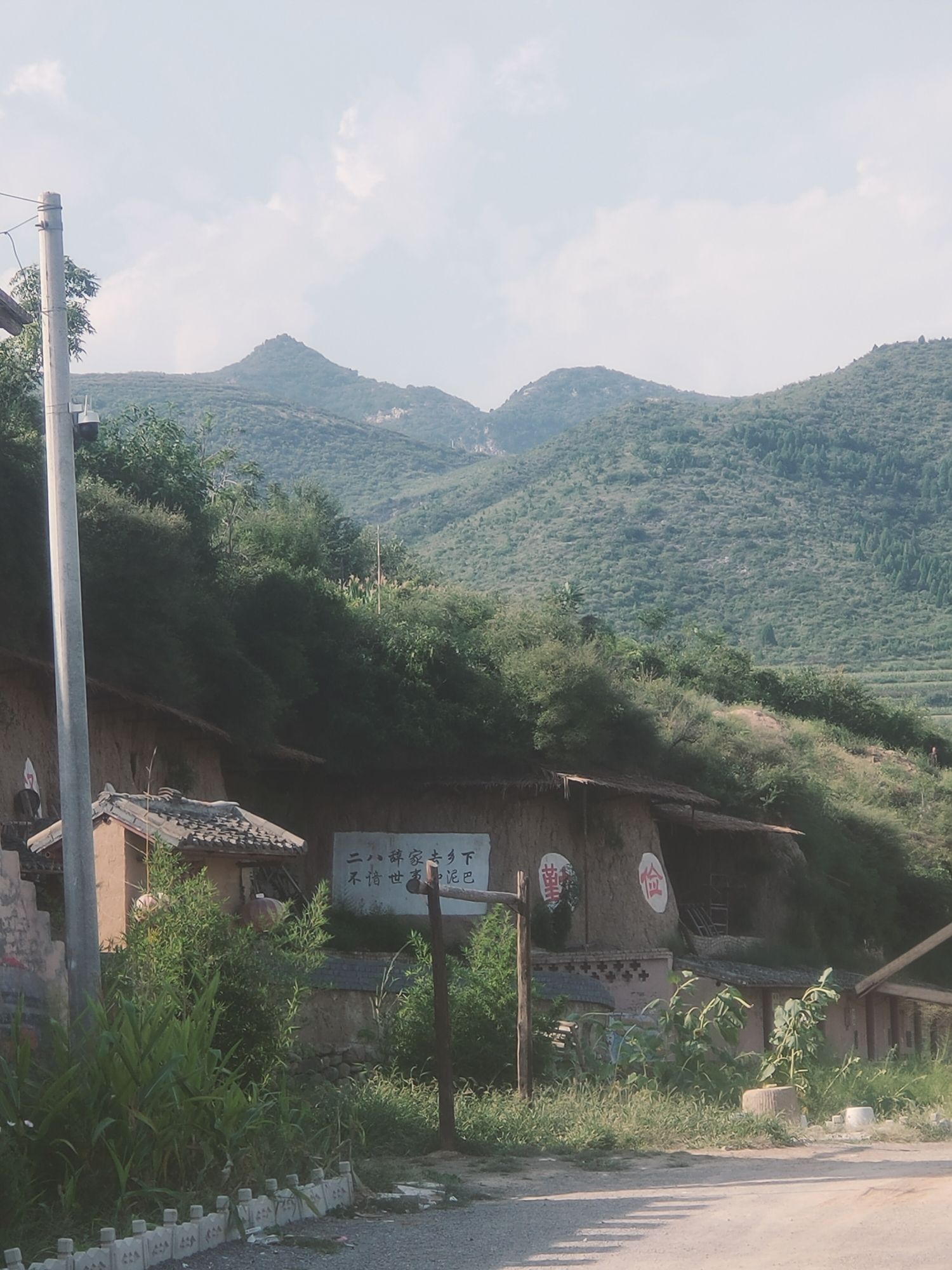 黄土坡老遗址旅行图片 1