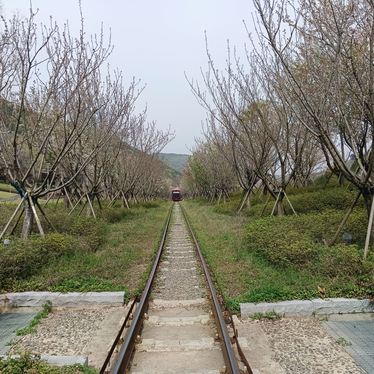 江苏园博园旅行图片 1