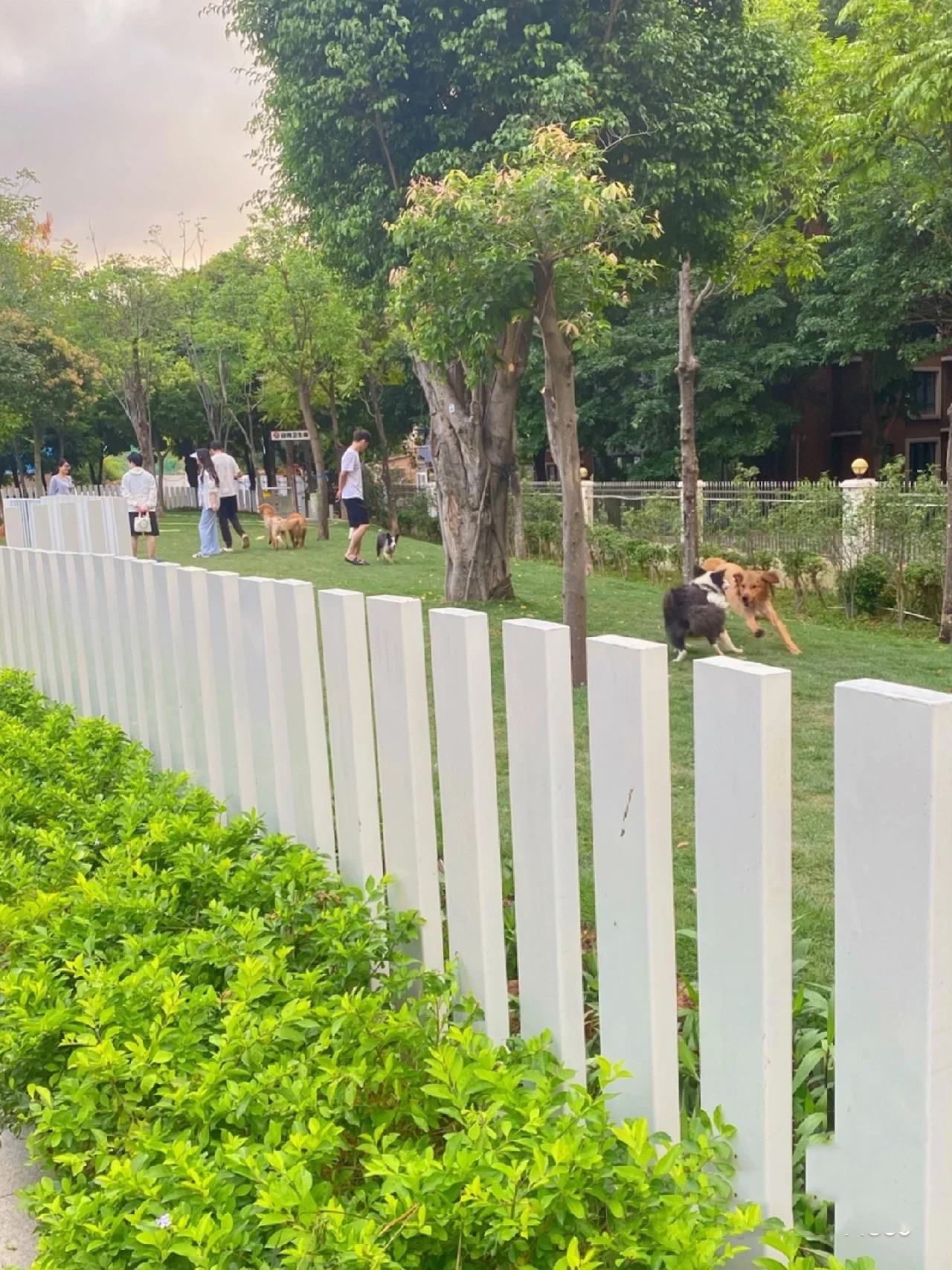 简上社区公园旅行图片 3