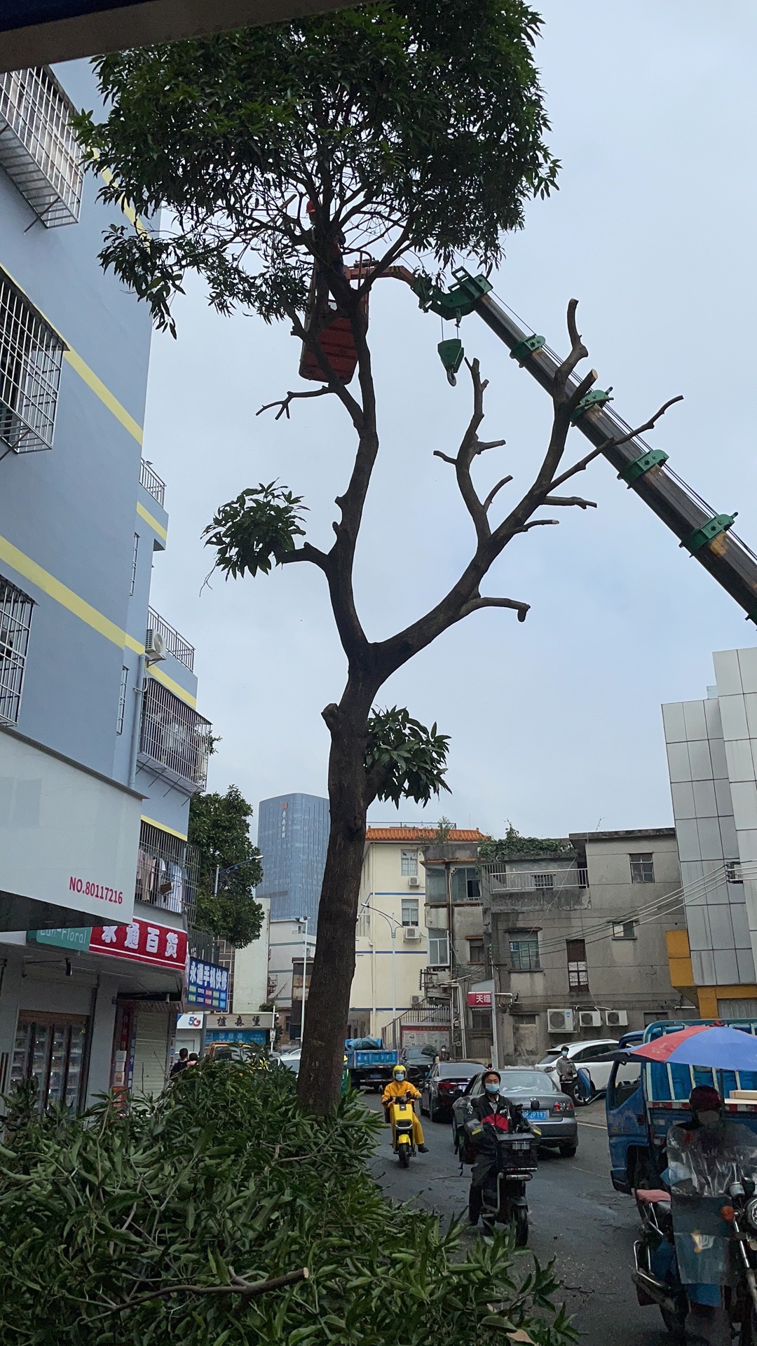 简上社区公园旅行图片 2