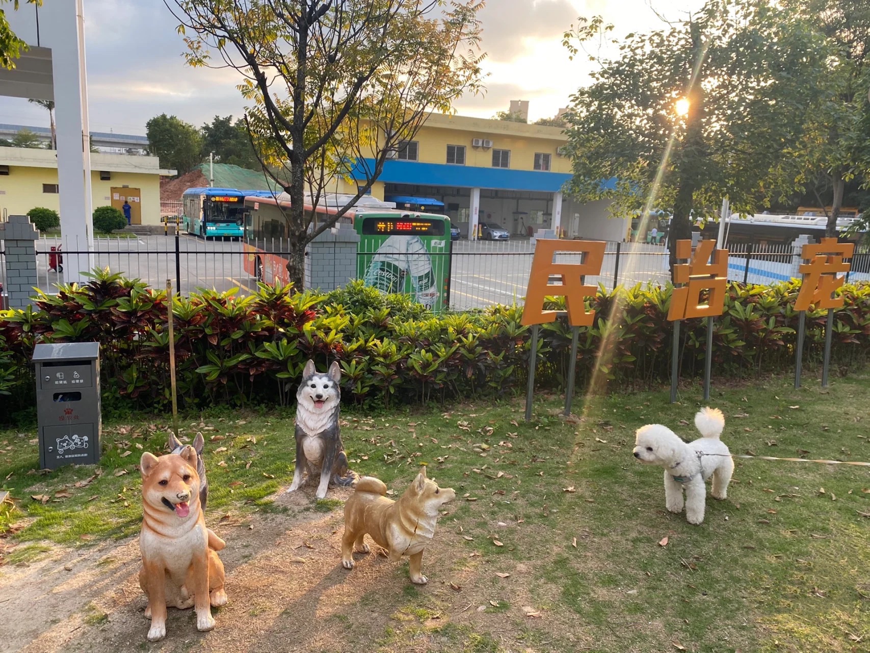 简上社区公园旅行图片 2
