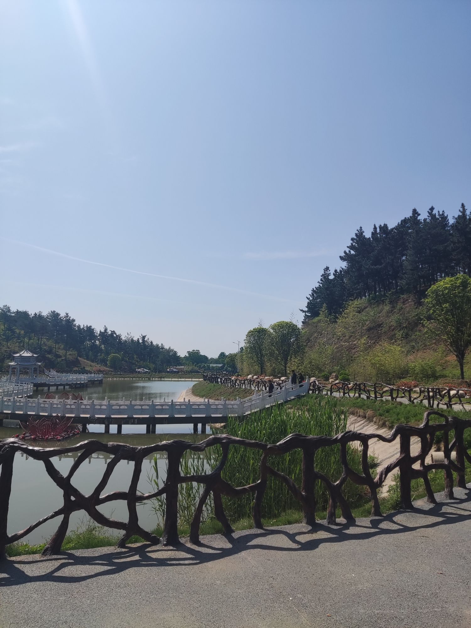 莲花池公园旅行图片 3