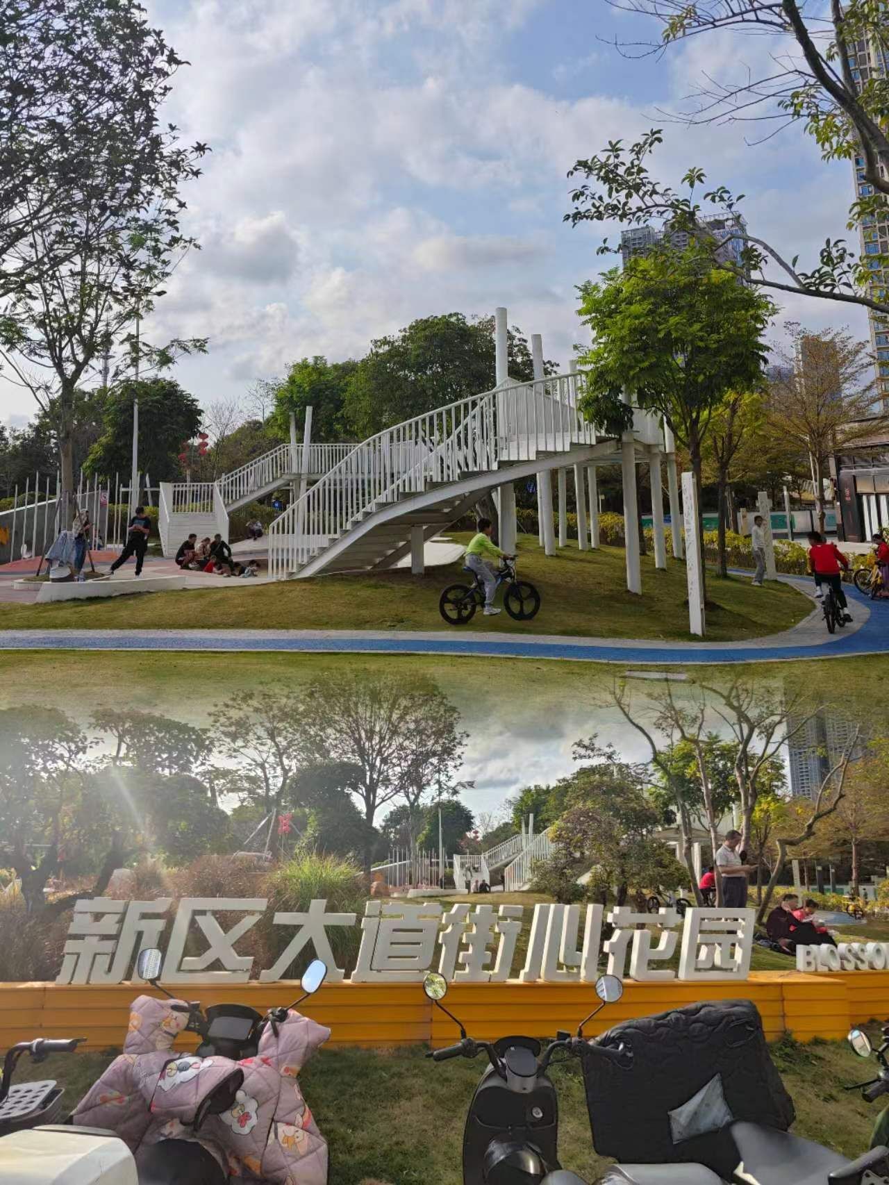 新区大道街心花园旅行图片 1