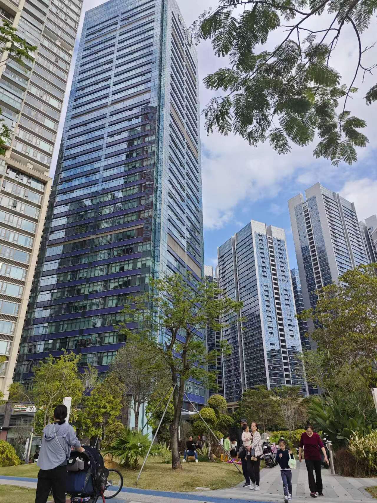 新区大道街心花园旅行图片 2