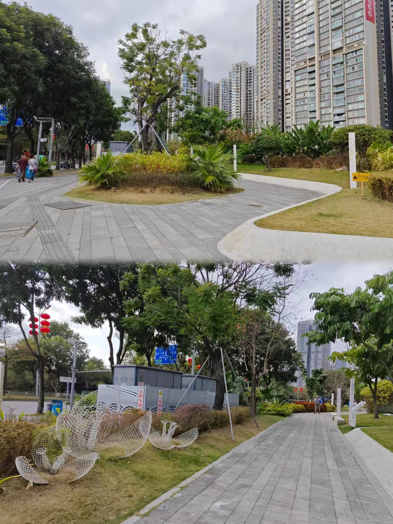 新区大道街心花园旅行图片 3