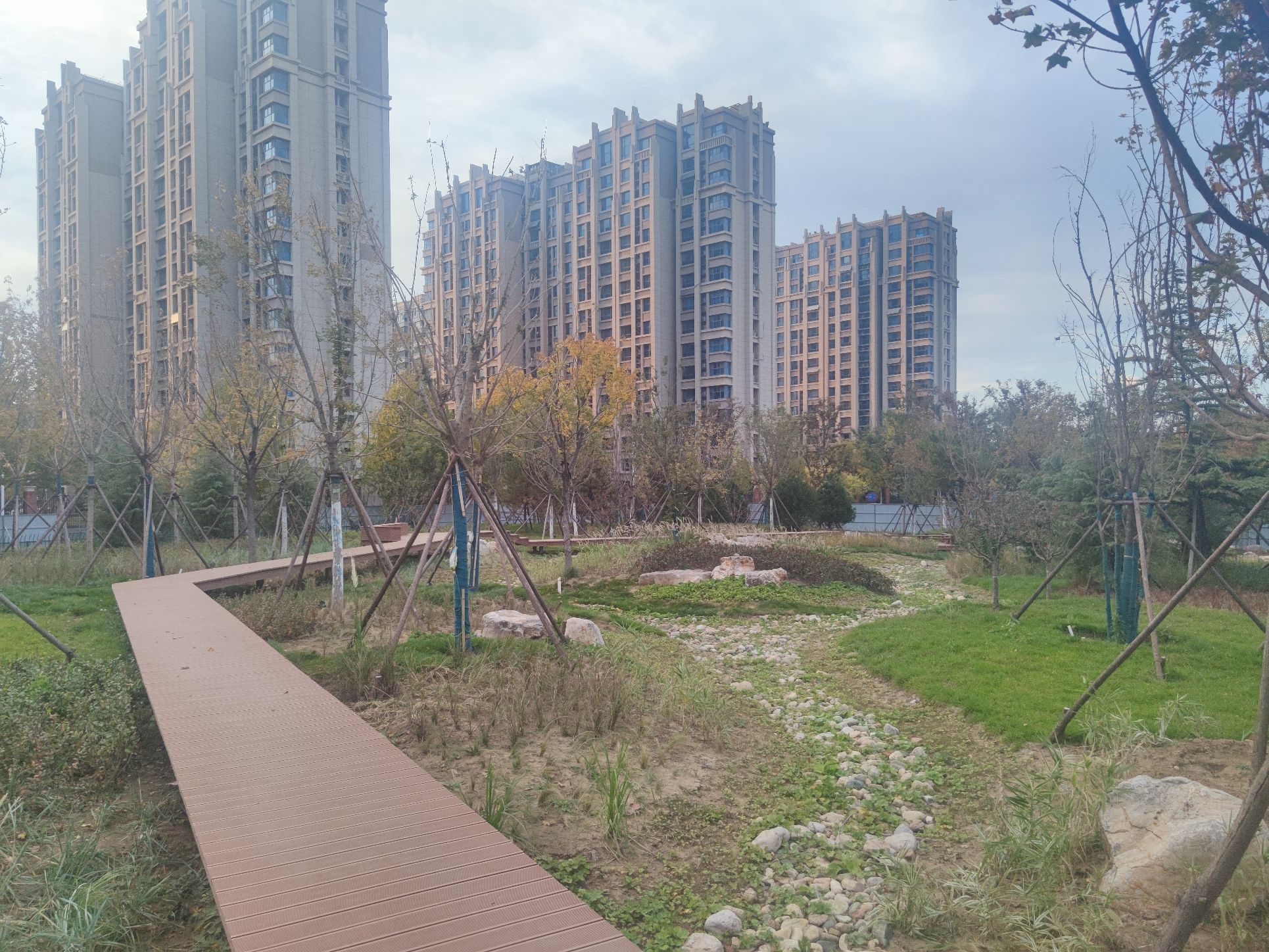 大学城滨河公园旅行图片 3