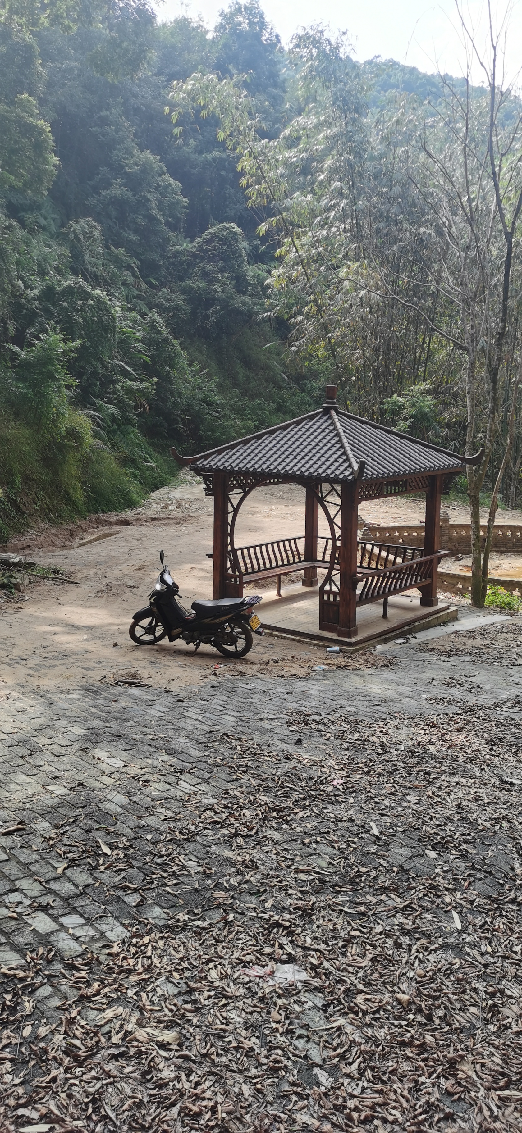 橄榄山谷旅游度假风景区旅行图片 2