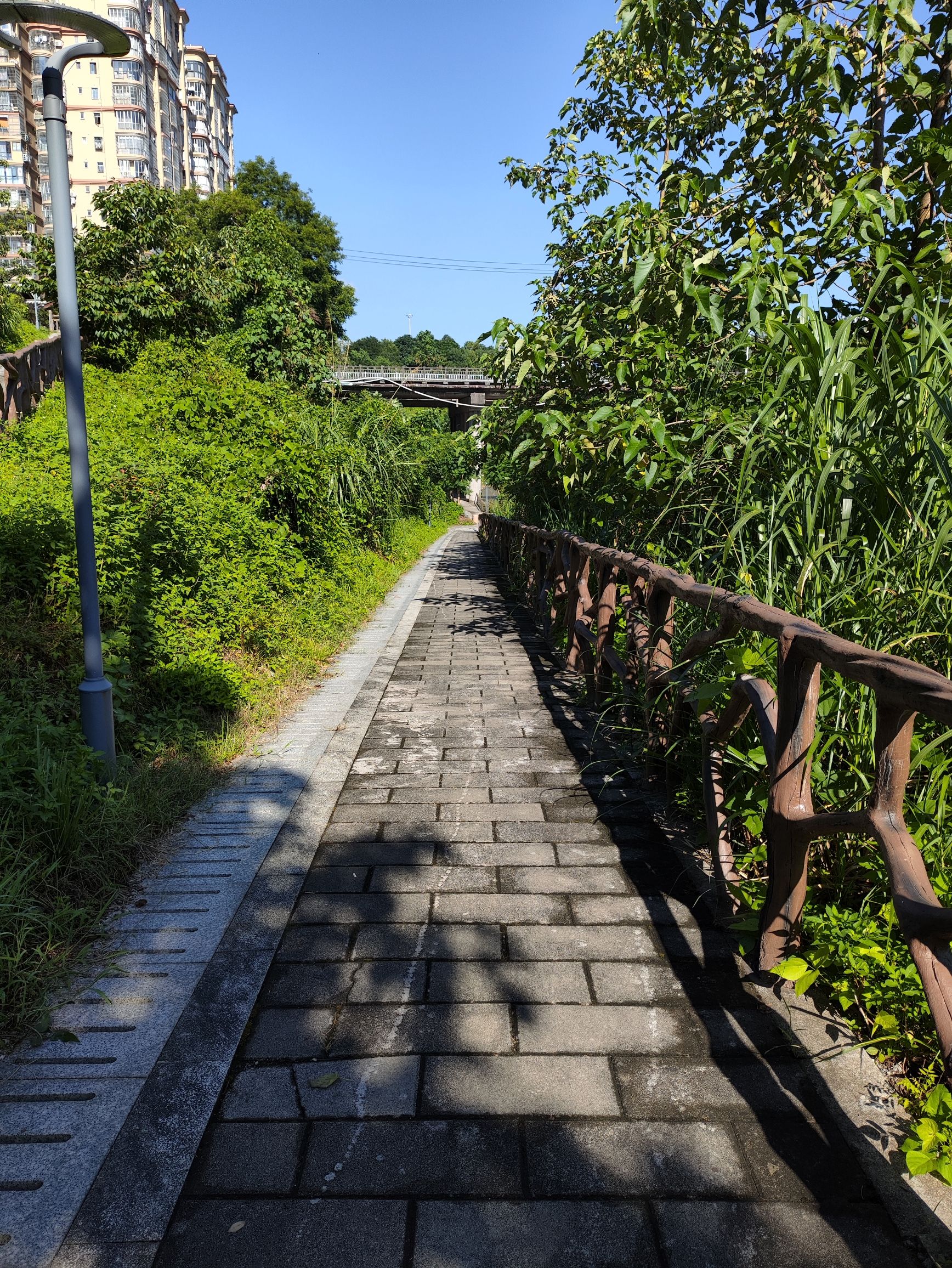 沙县区畔溪公园旅行图片 2