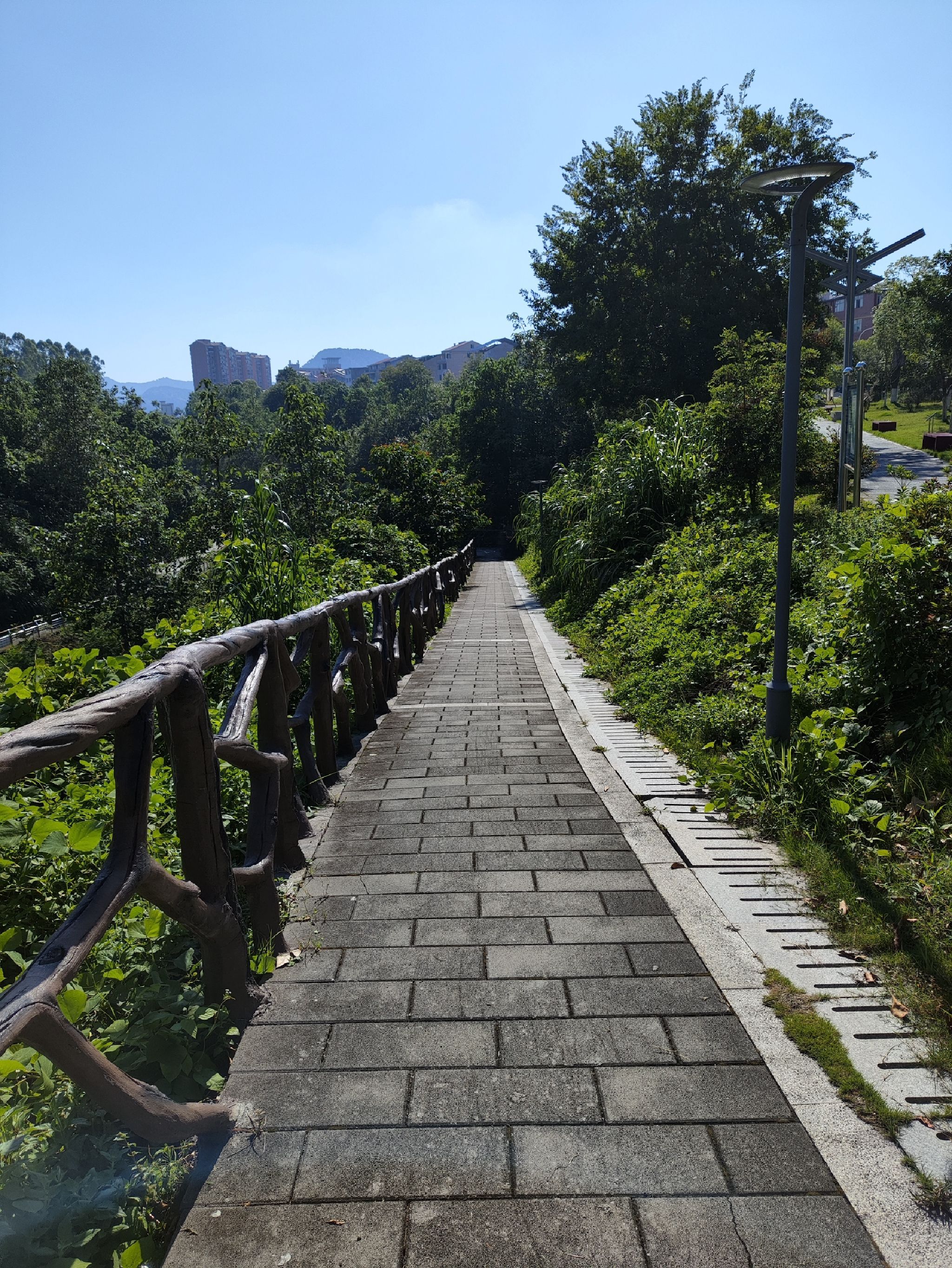 沙县区畔溪公园旅行图片 2