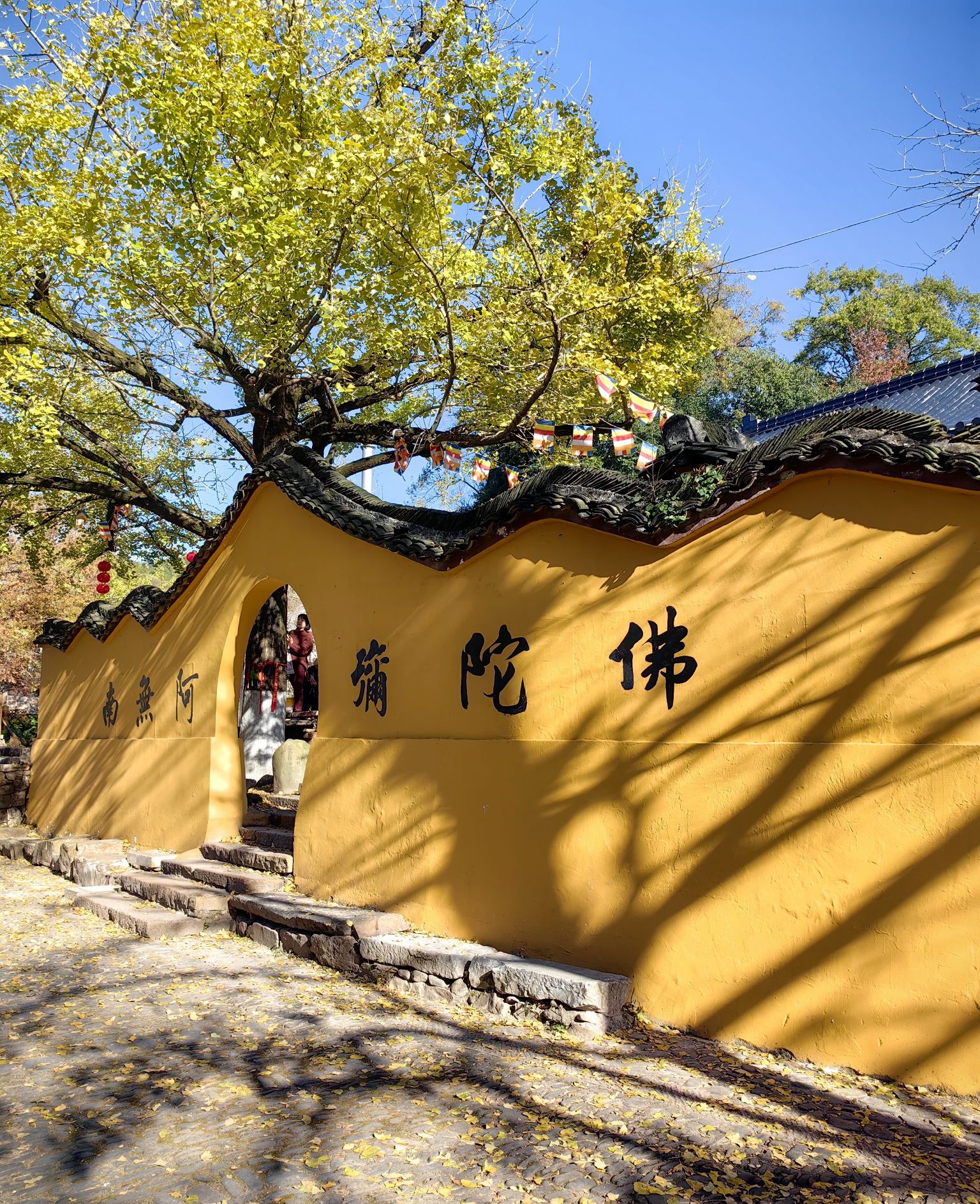 八都岕景区旅行图片 1