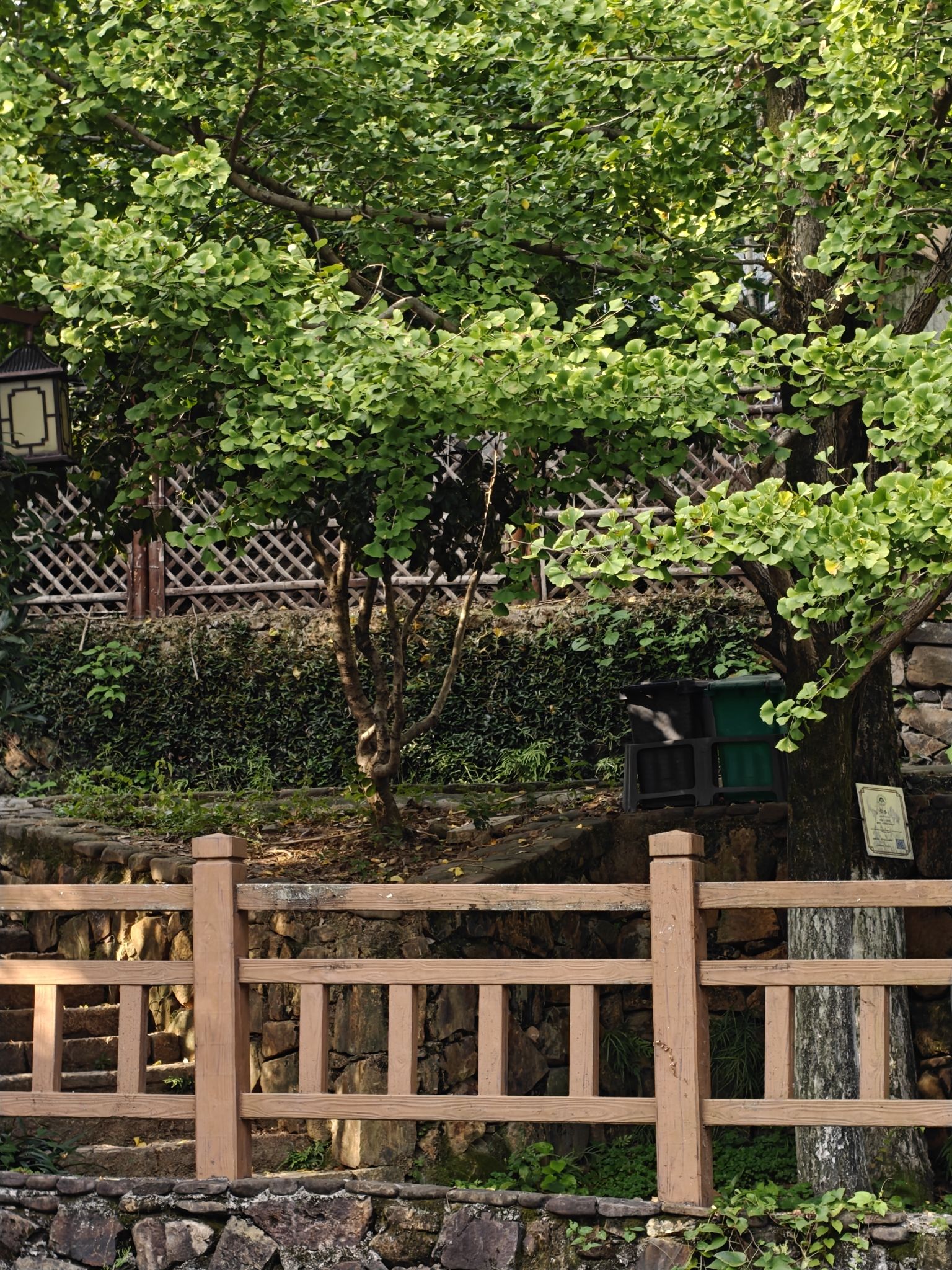 八都岕景区旅行图片 3