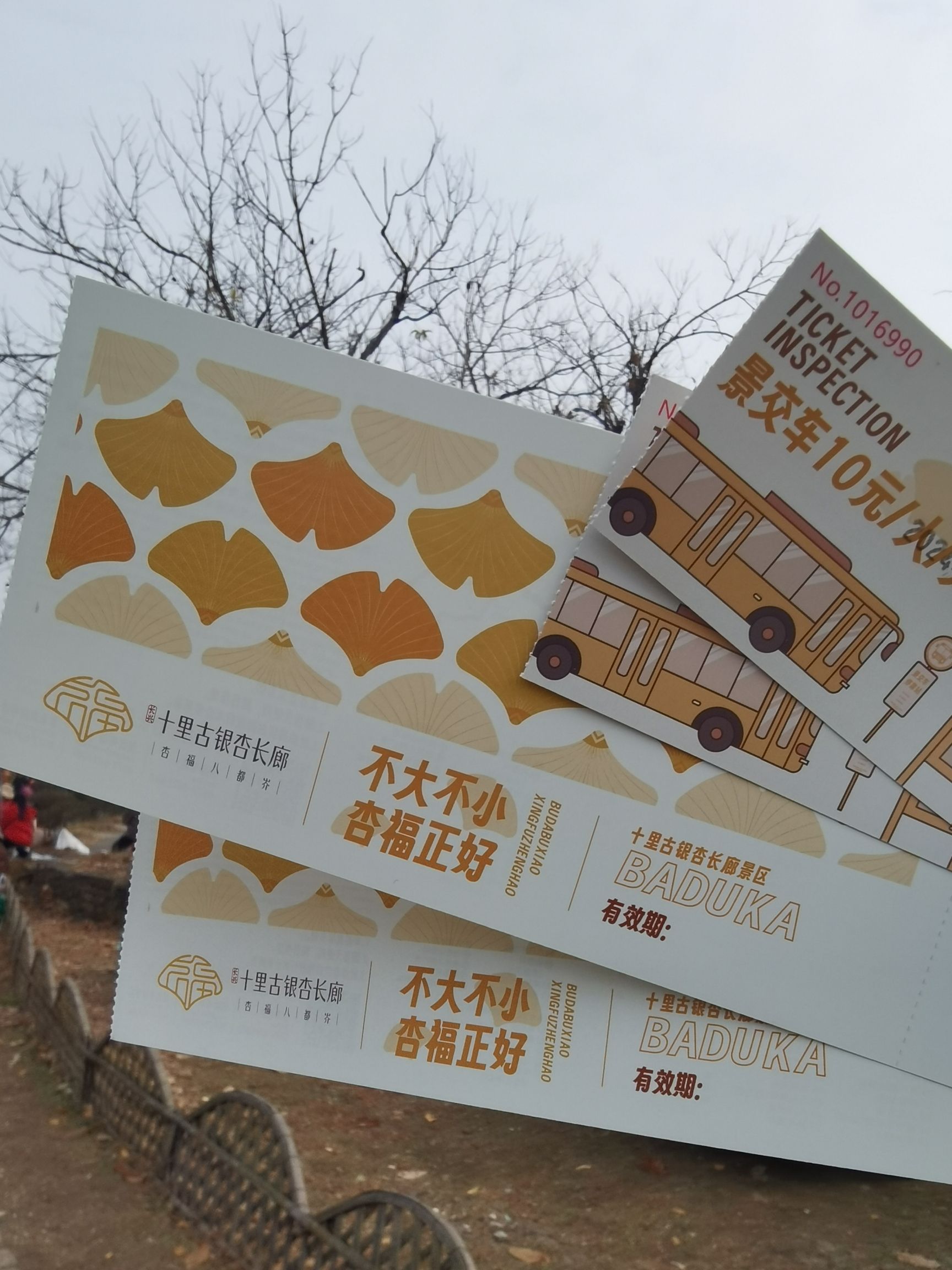 八都岕景区旅行图片 1
