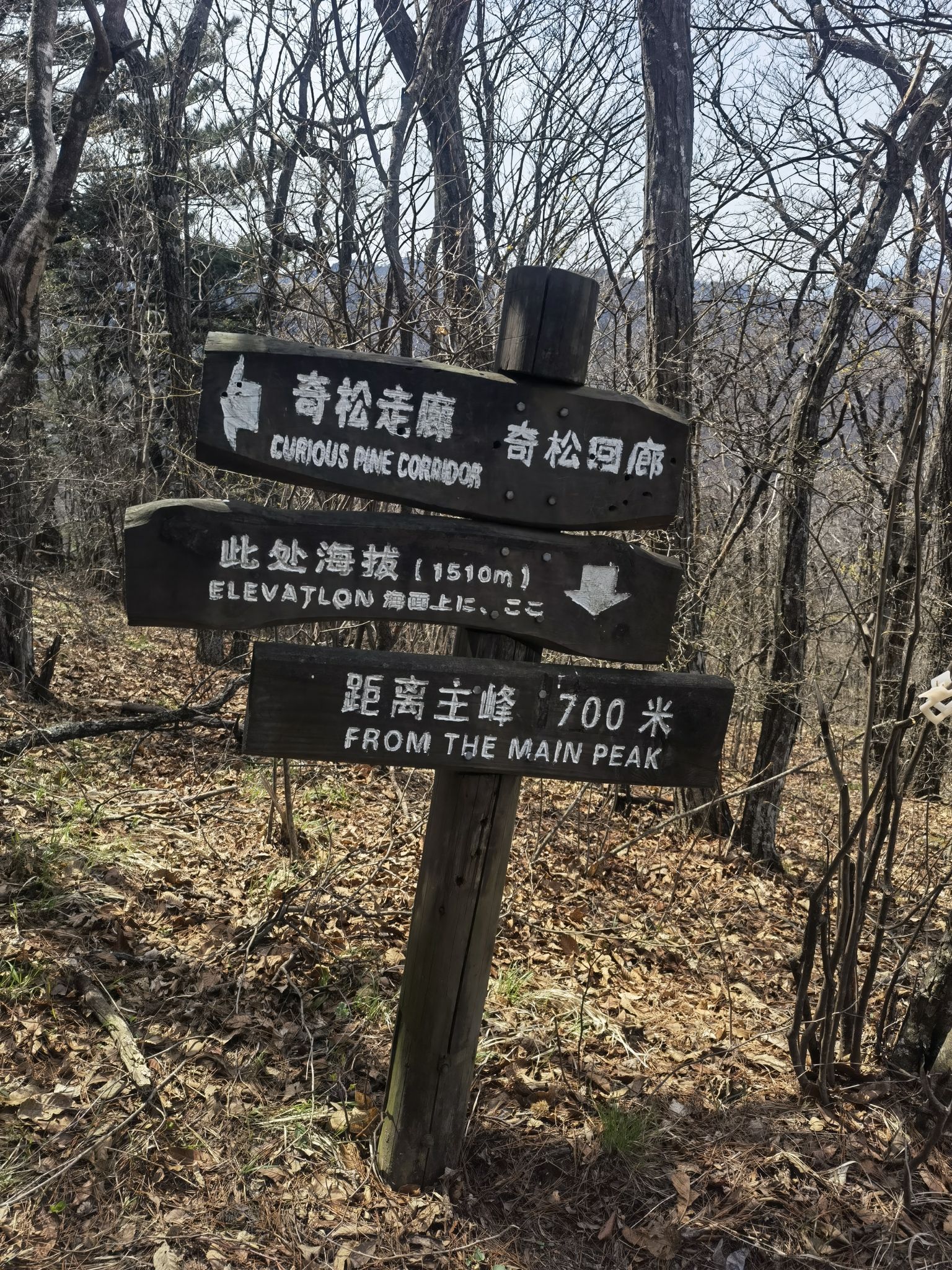 大别山主峰白马尖景区旅行图片 3