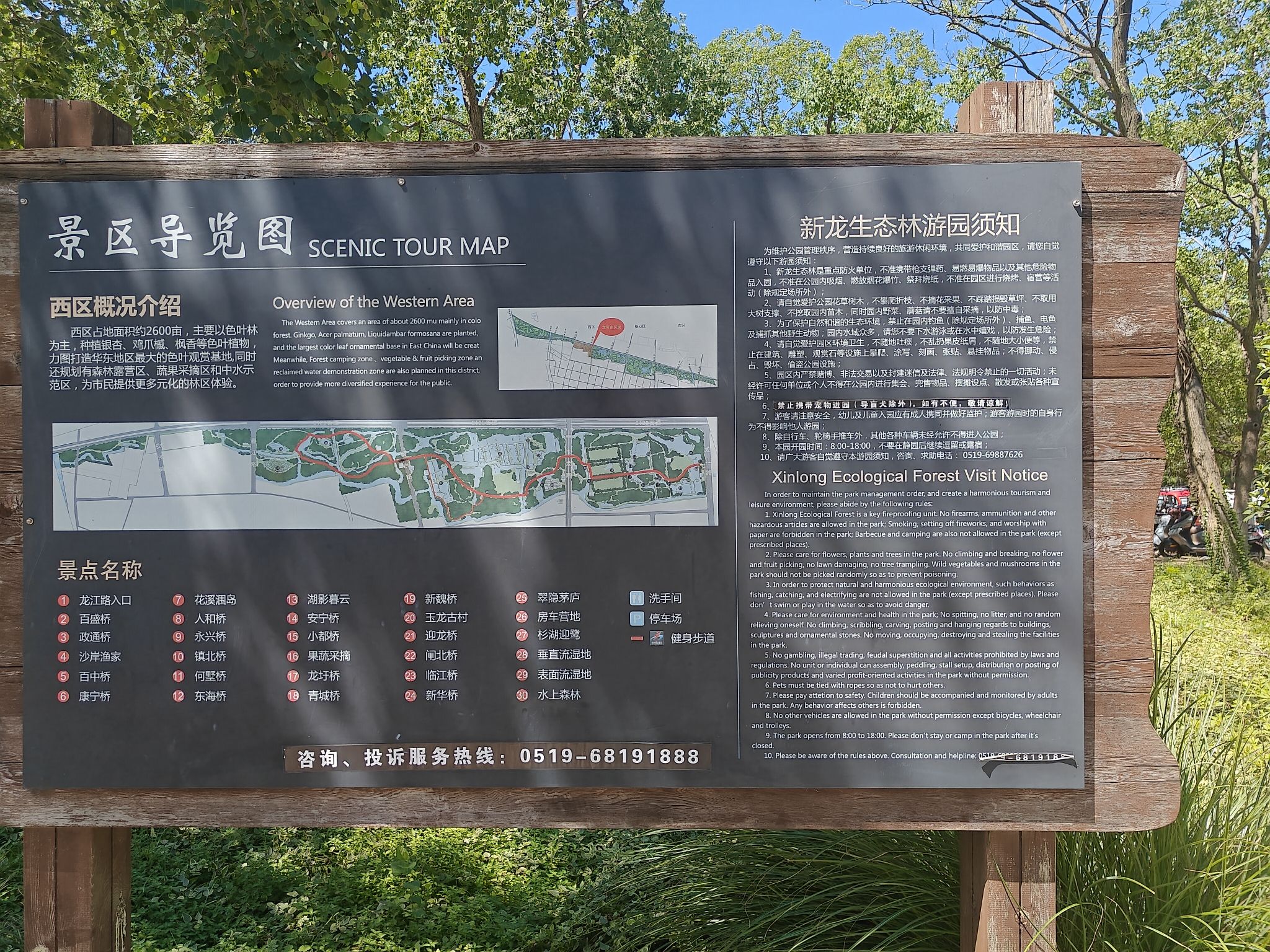 水上森林景点图片