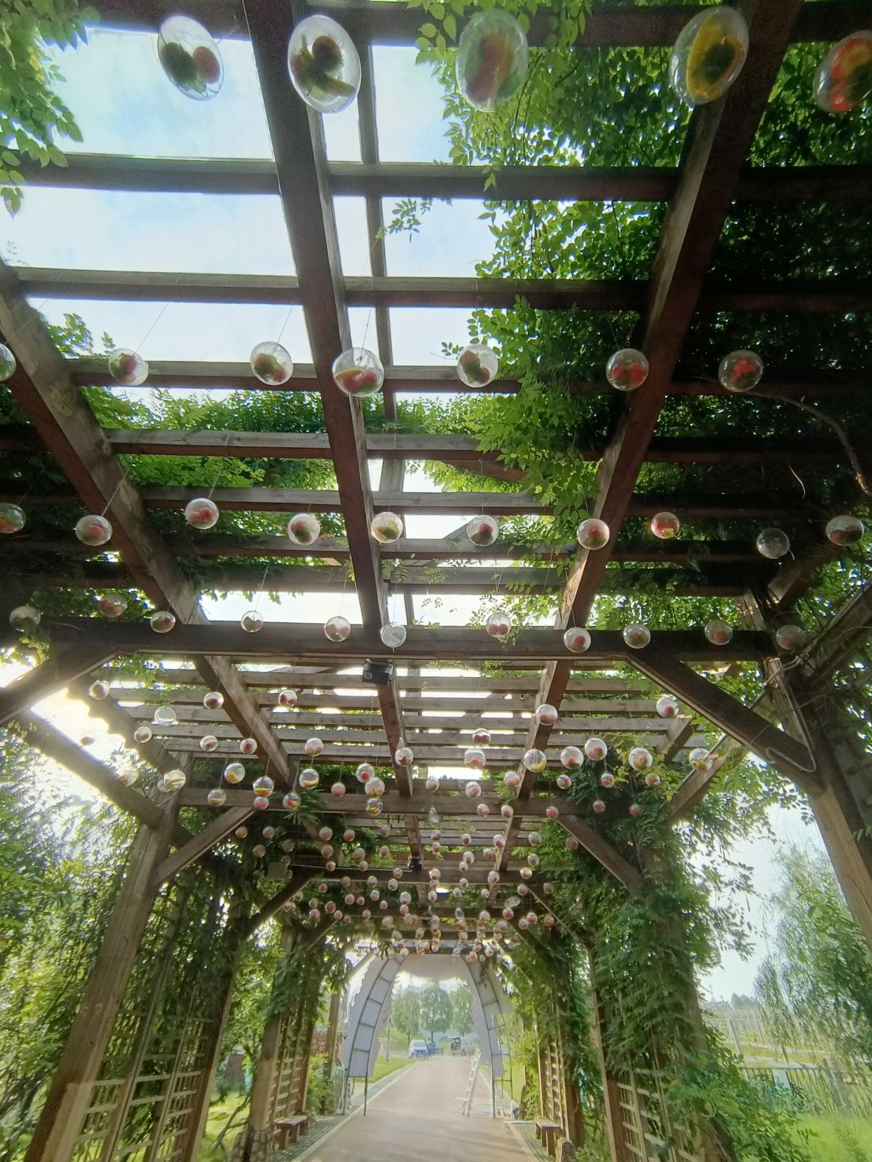 中国科学院庐山植物园(南昌)旅行图片 2