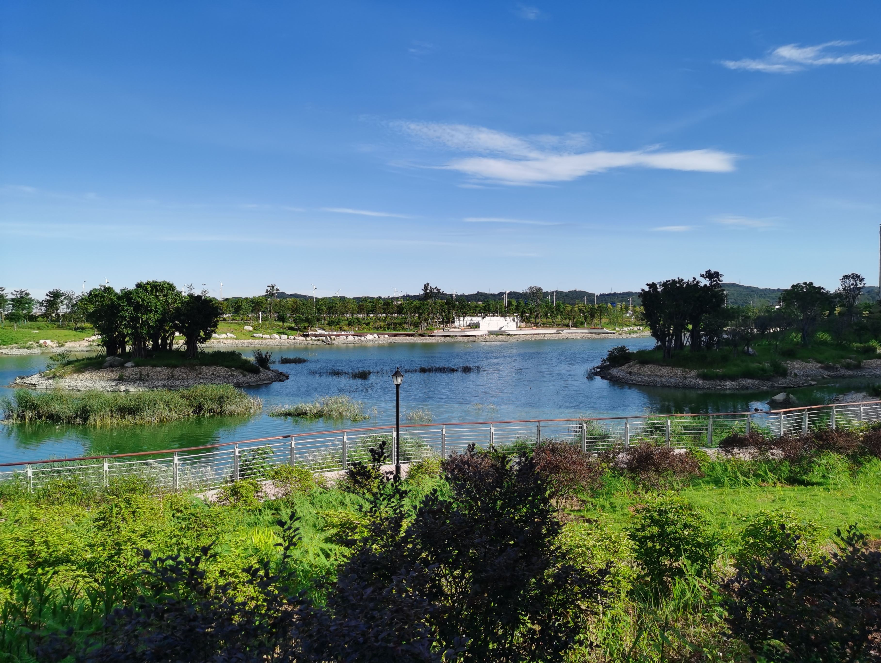 泉州城东浔美滞洪湖景观公园旅行图片 2