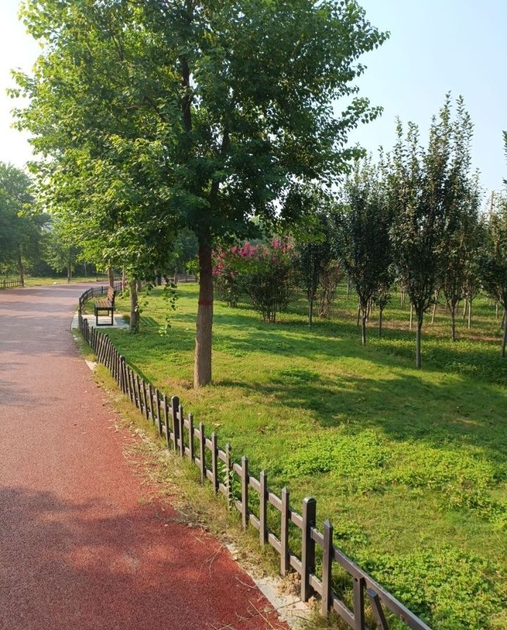 黎阳故城森林公园旅行图片 3