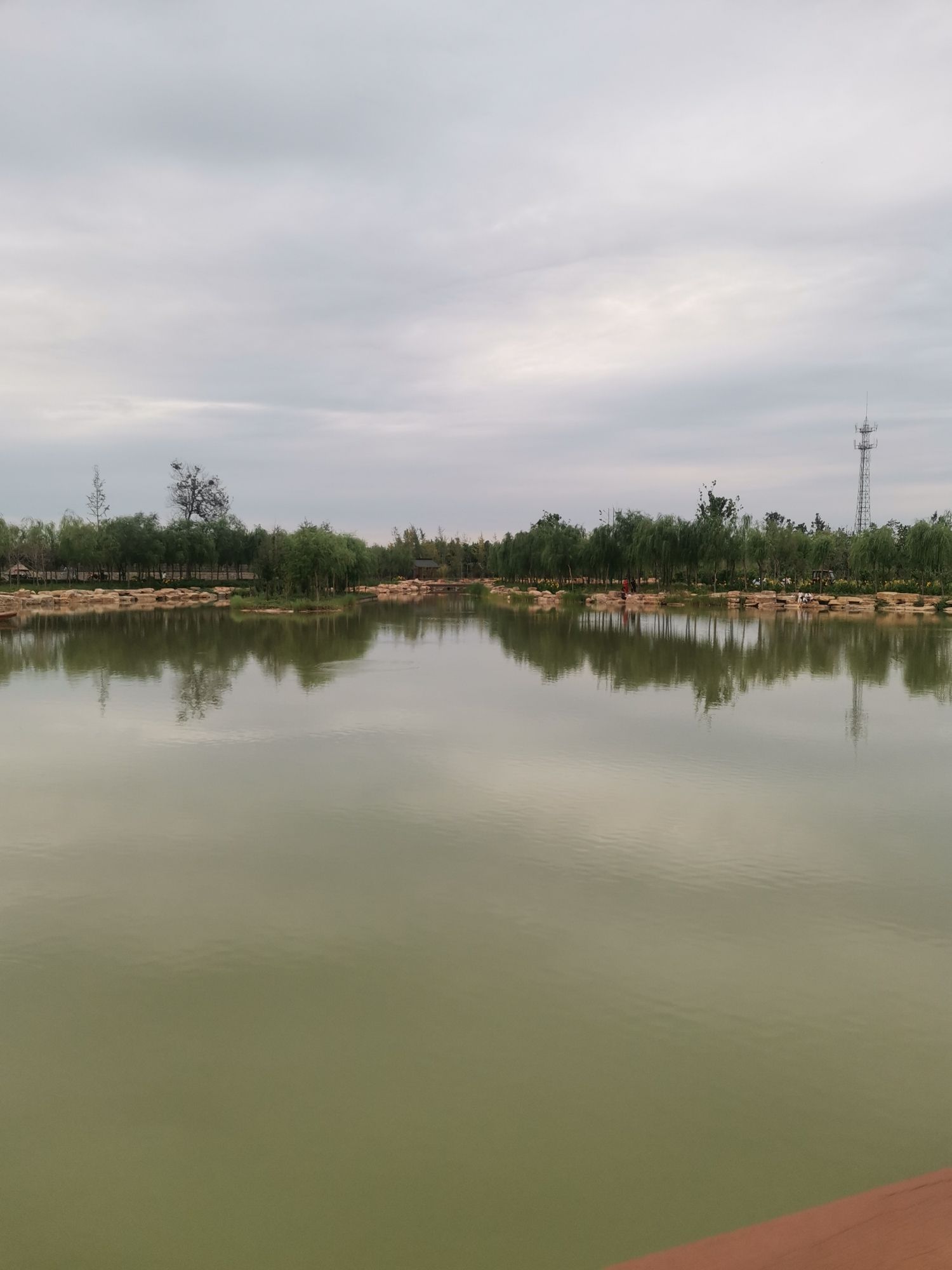 黎阳故城森林公园旅行图片 1