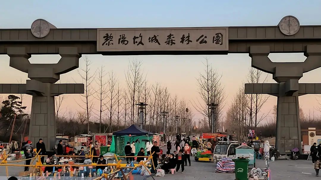 黎阳故城森林公园旅行图片 1