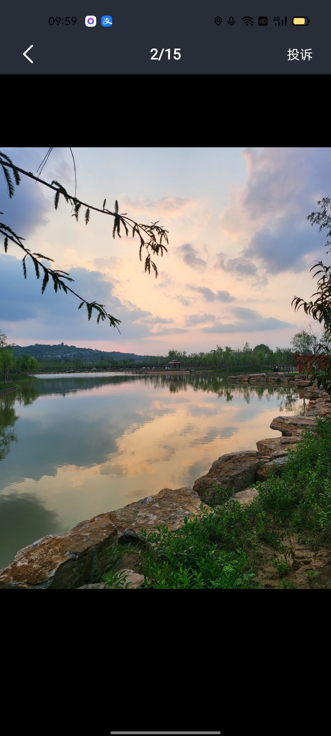 黎阳故城森林公园旅行图片 3