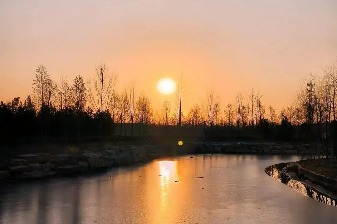 黎阳故城森林公园旅行图片 3