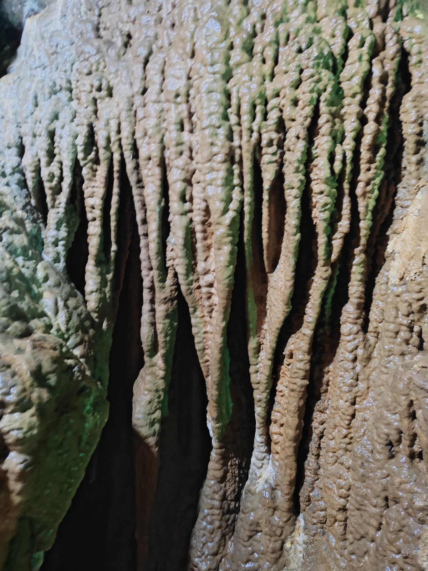 皇龙洞景区旅行图片 2