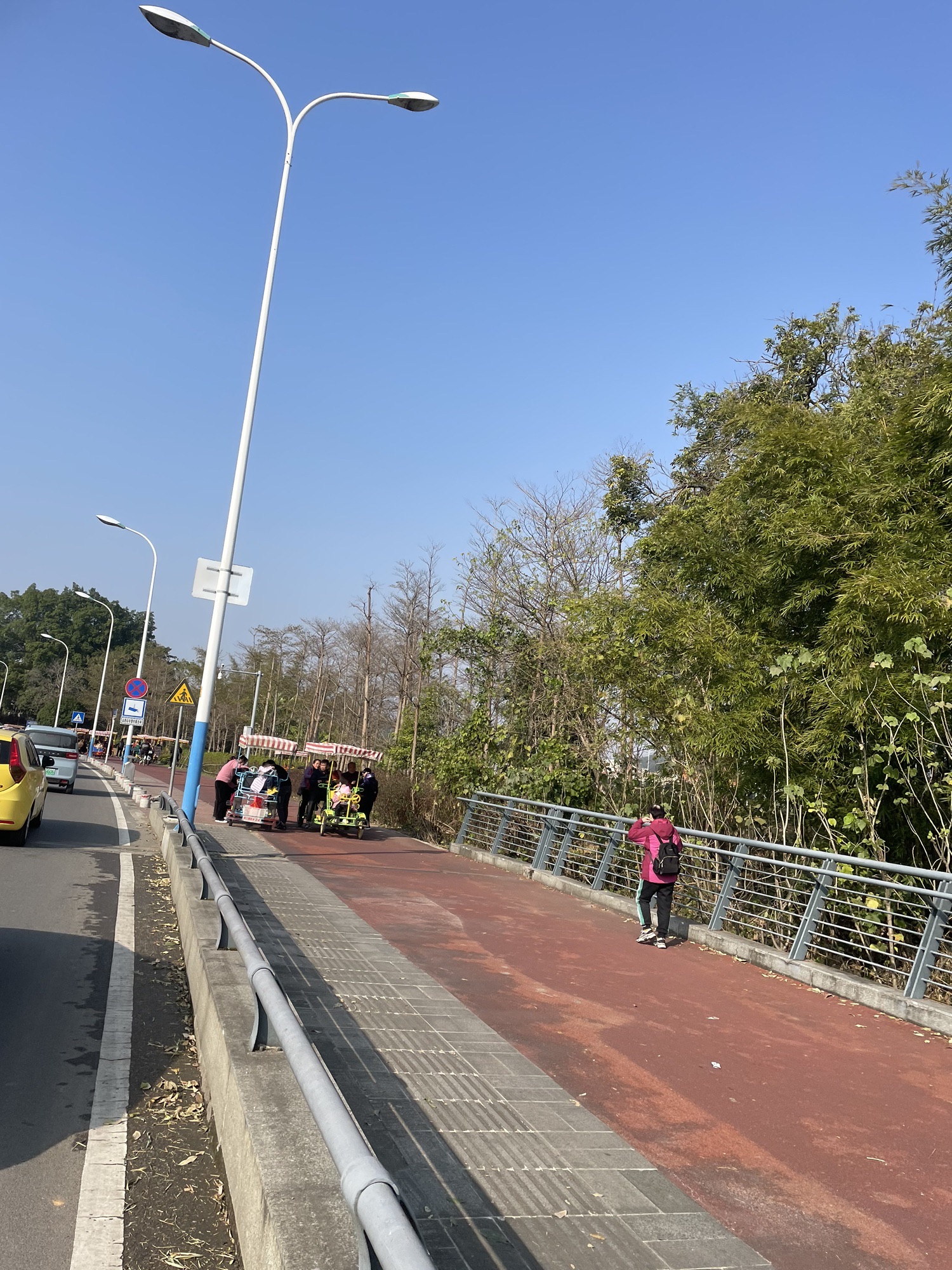 柳贤清风园旅行图片 2