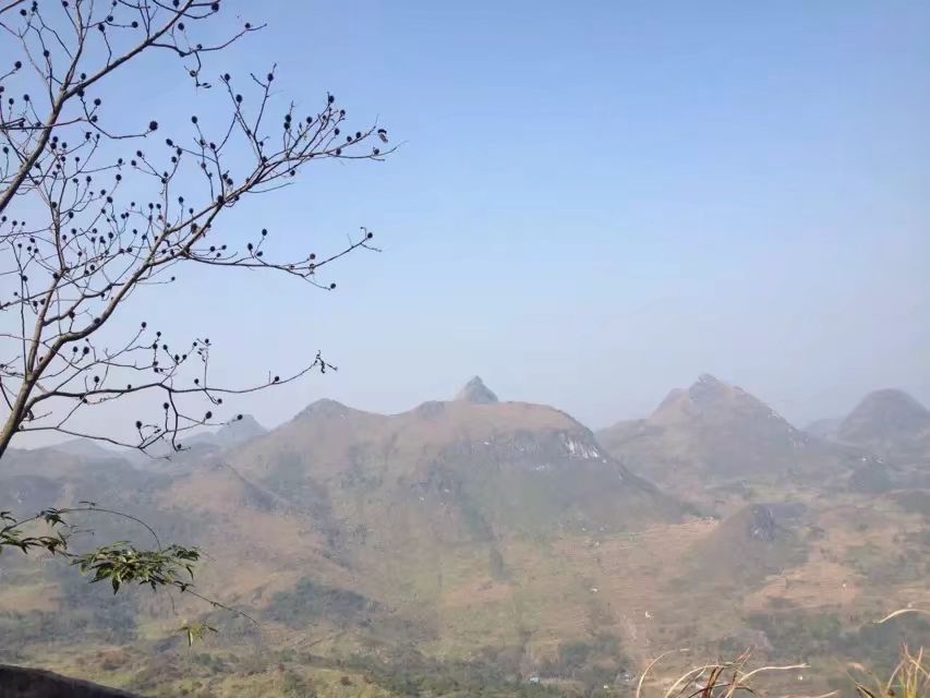五岳庙旅行图片 3