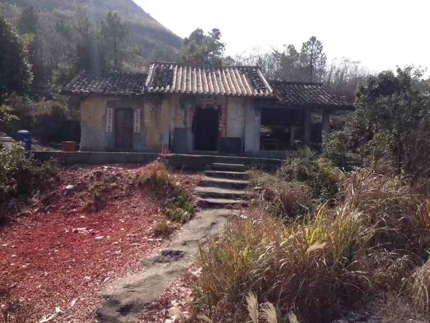 五岳庙旅行图片 1