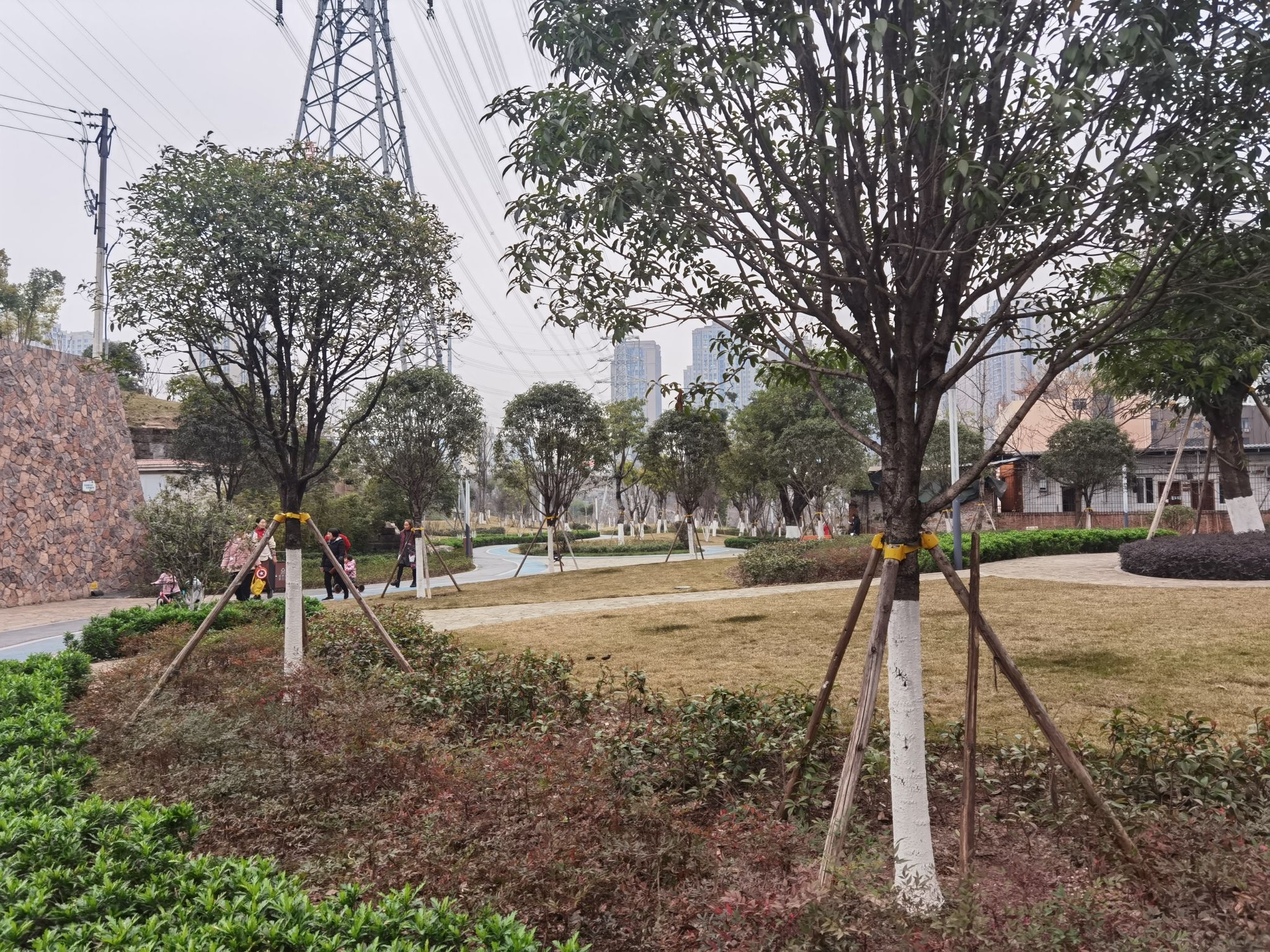 远洋香派公园旅行图片 3